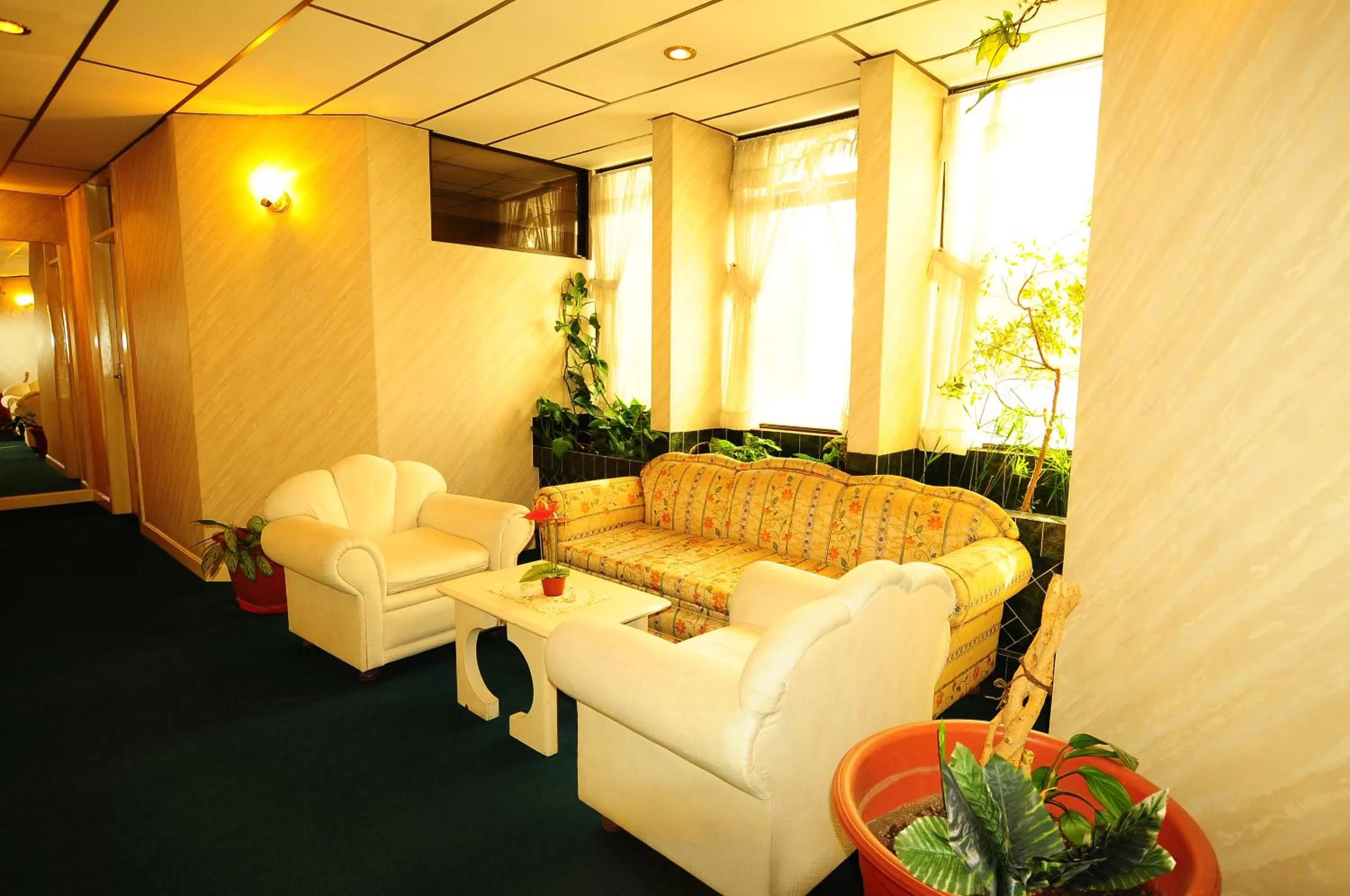 Decorative detail, Seating Area in Glorieta Hotel