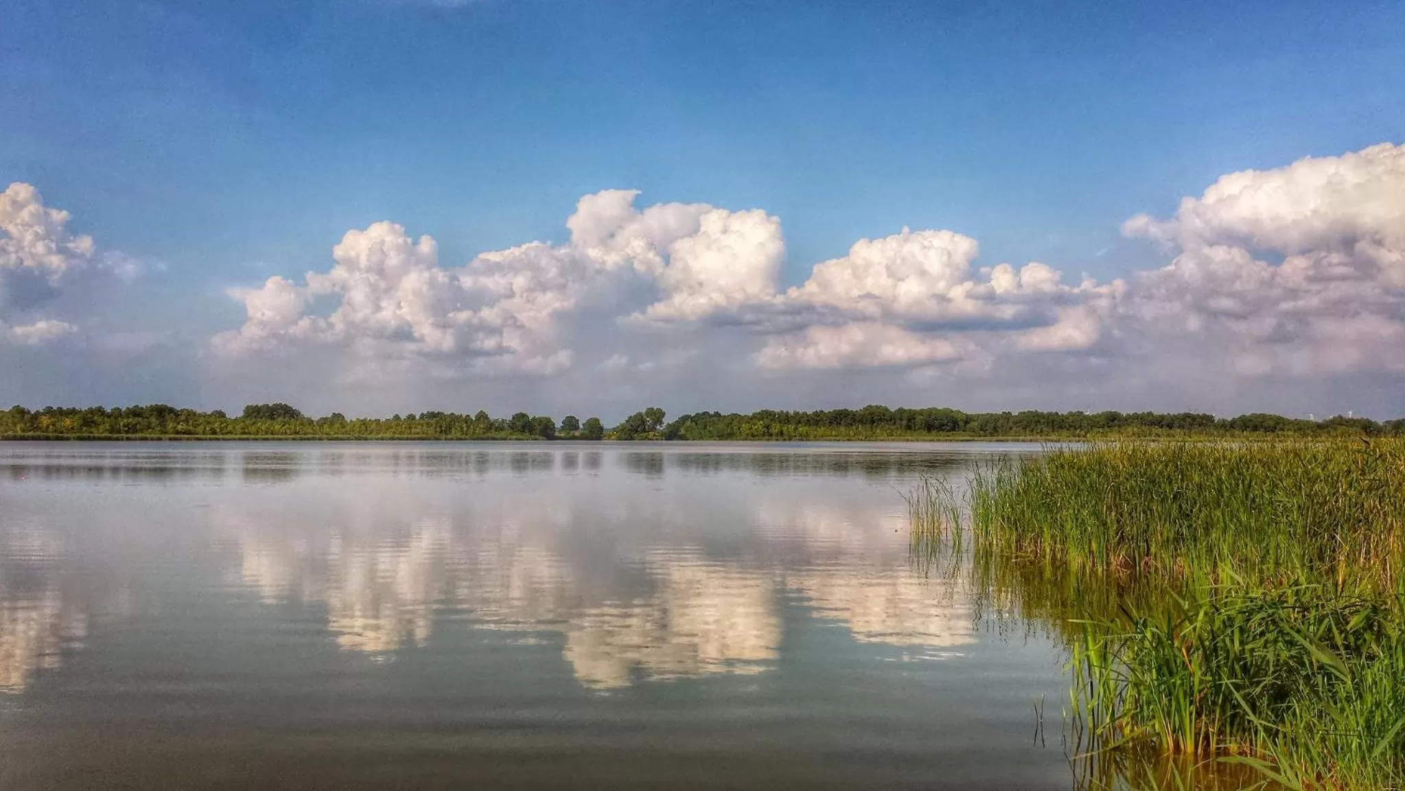 Natural landscape in Landlust Hotel
