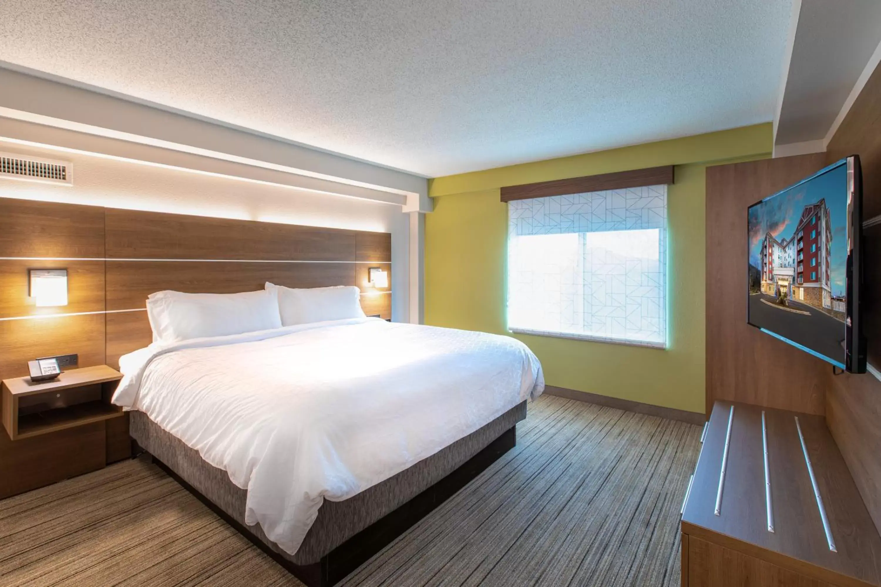 Photo of the whole room, Bed in Holiday Inn Express & Suites Asheville Downtown, an IHG Hotel