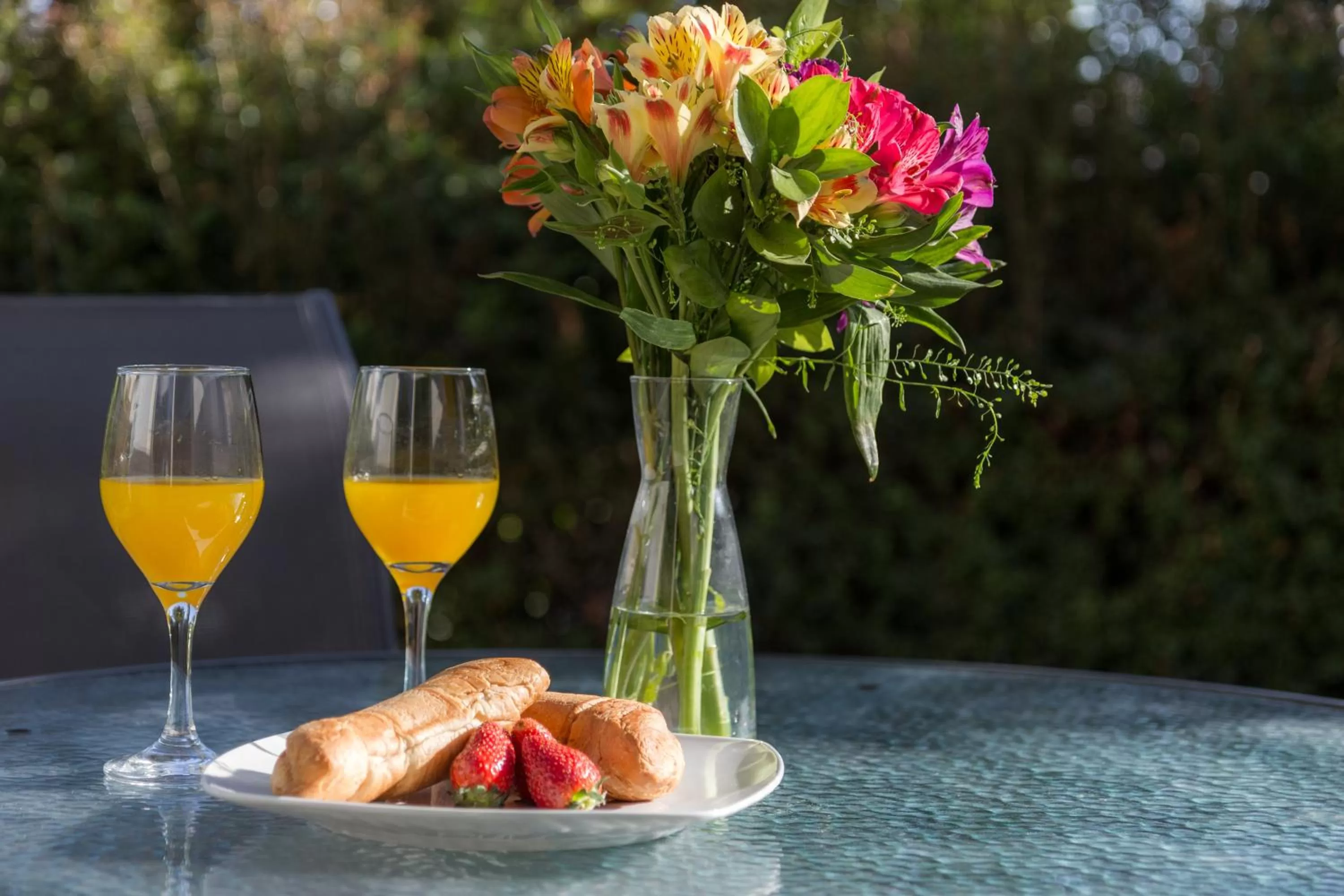 Garden in Elysia Park