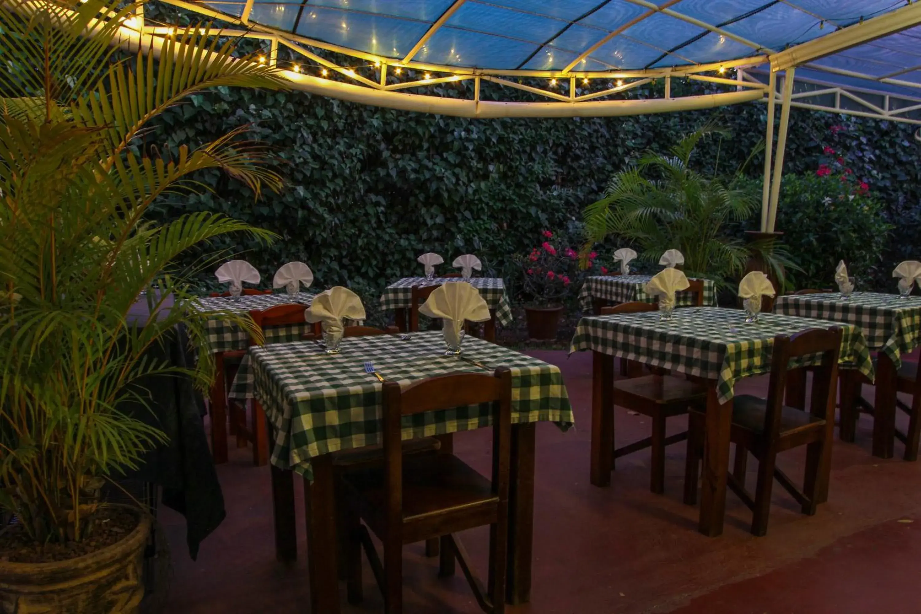Patio, Restaurant/Places to Eat in Hotel La Rosa de America