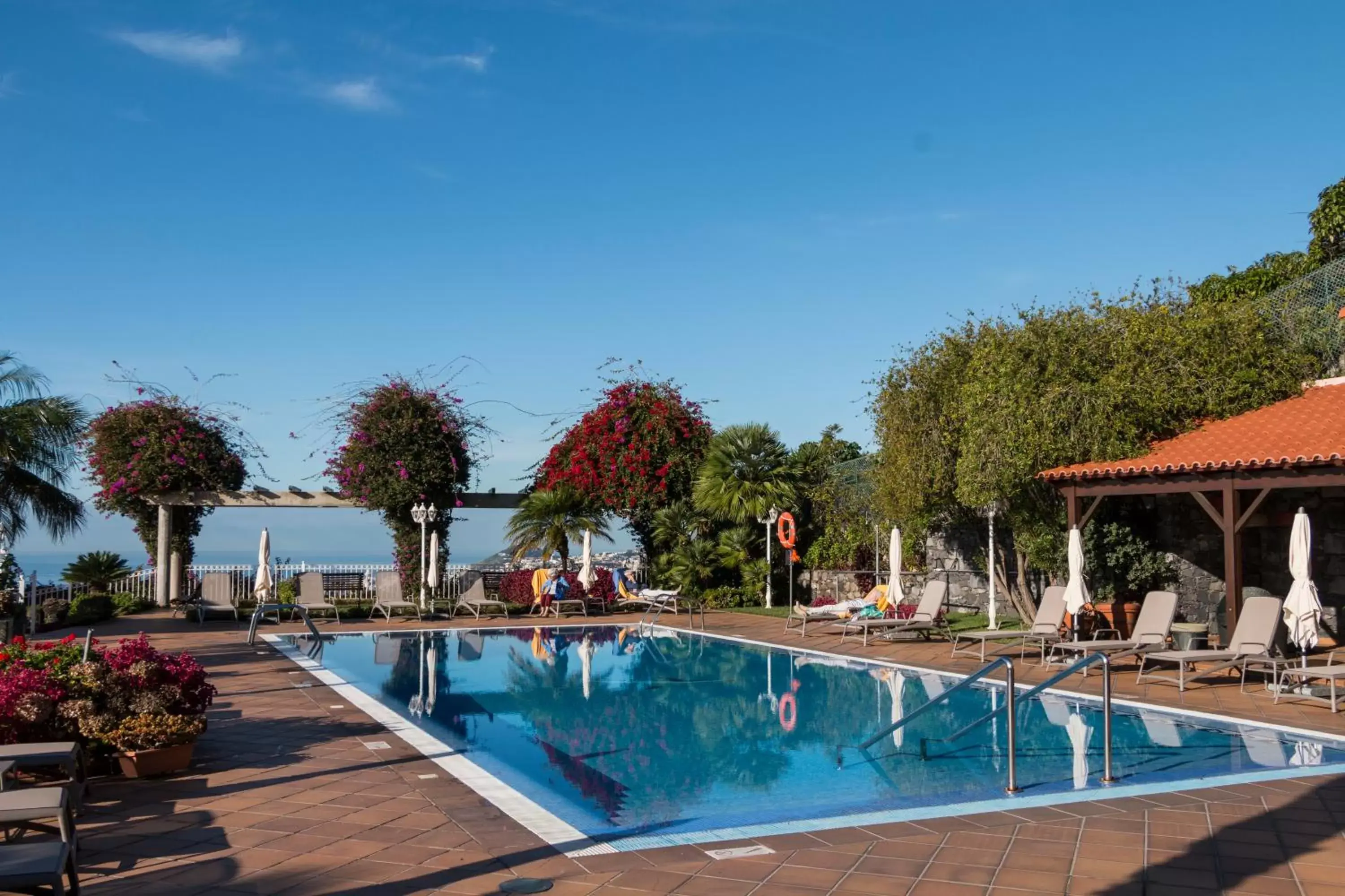 Garden, Swimming Pool in Ocean Gardens