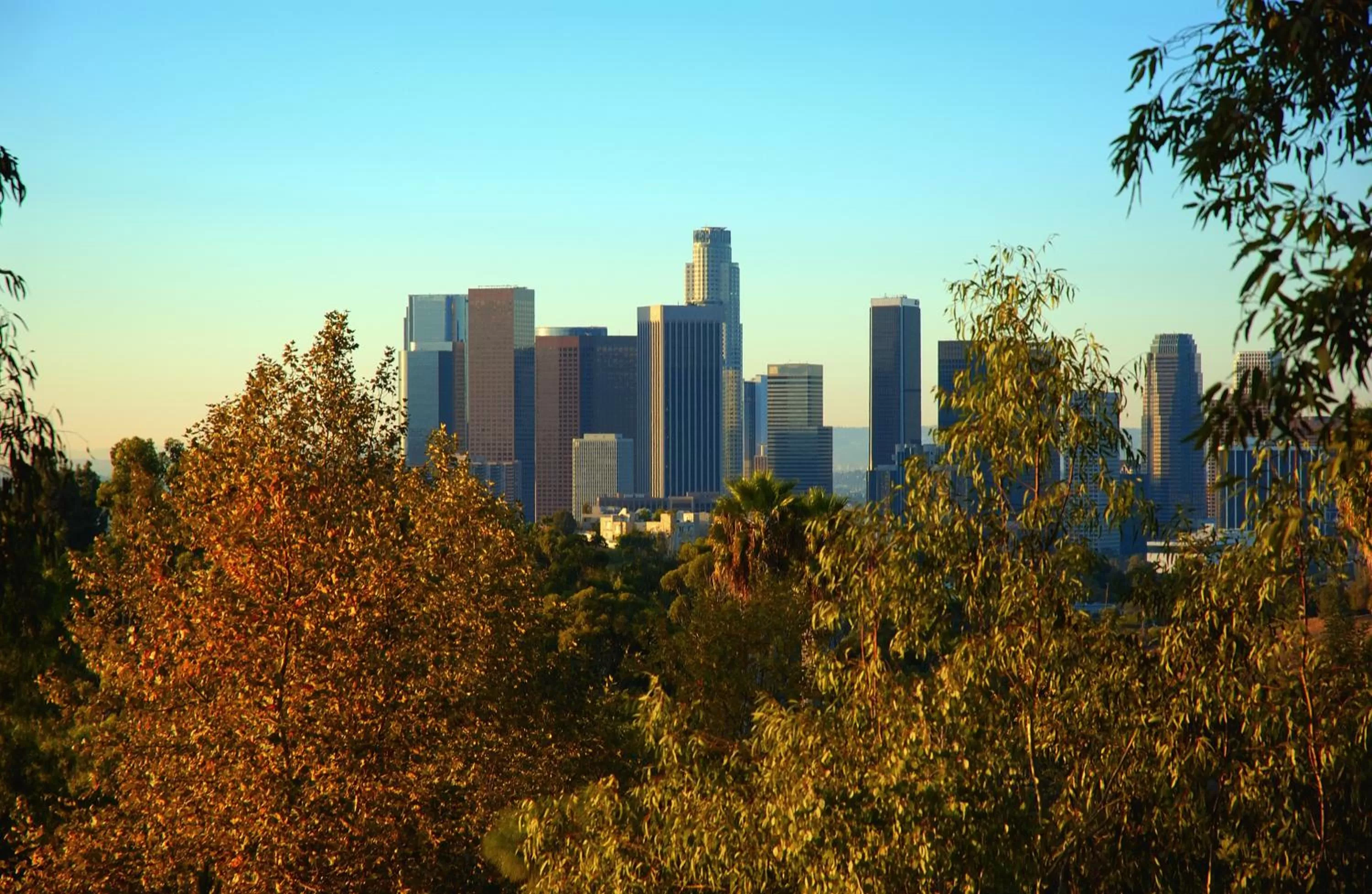 City view in Hollywood Homes minutes to everything SPACIOUS AND FREE PARKING