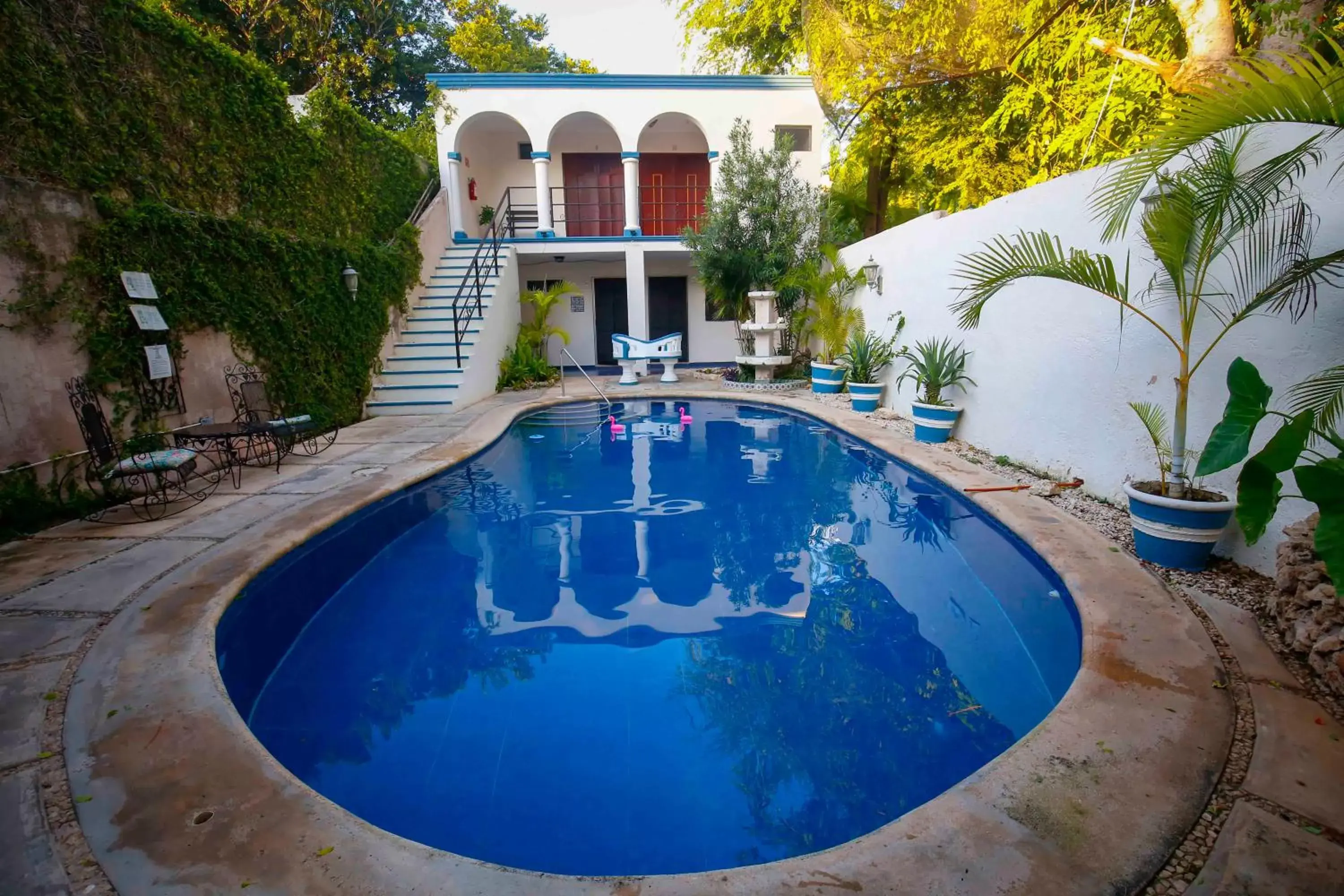 Pool view, Swimming Pool in Hotel Zamna Boutique