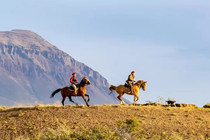 Hostería El Galpón Del Glaciar