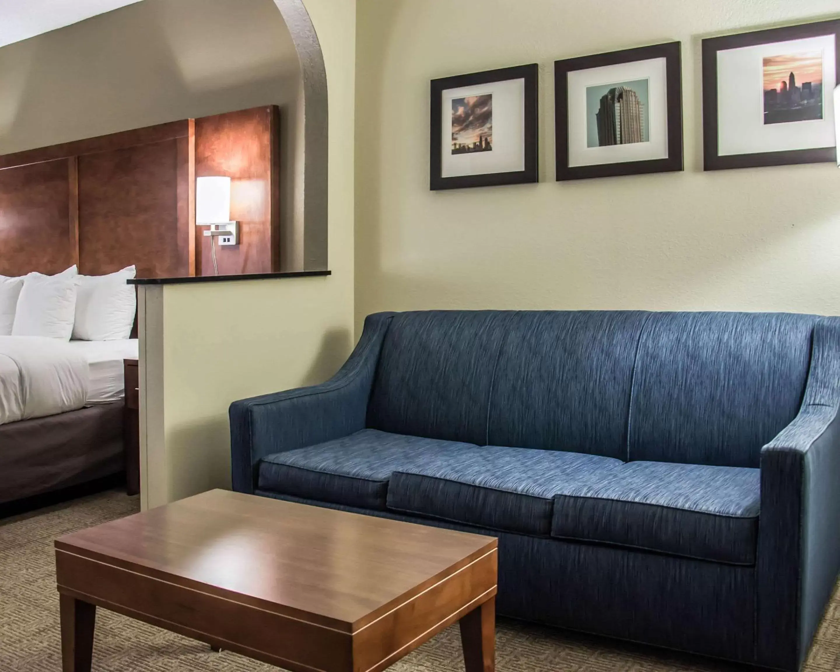 Photo of the whole room, Seating Area in Comfort Suites Research Park - University