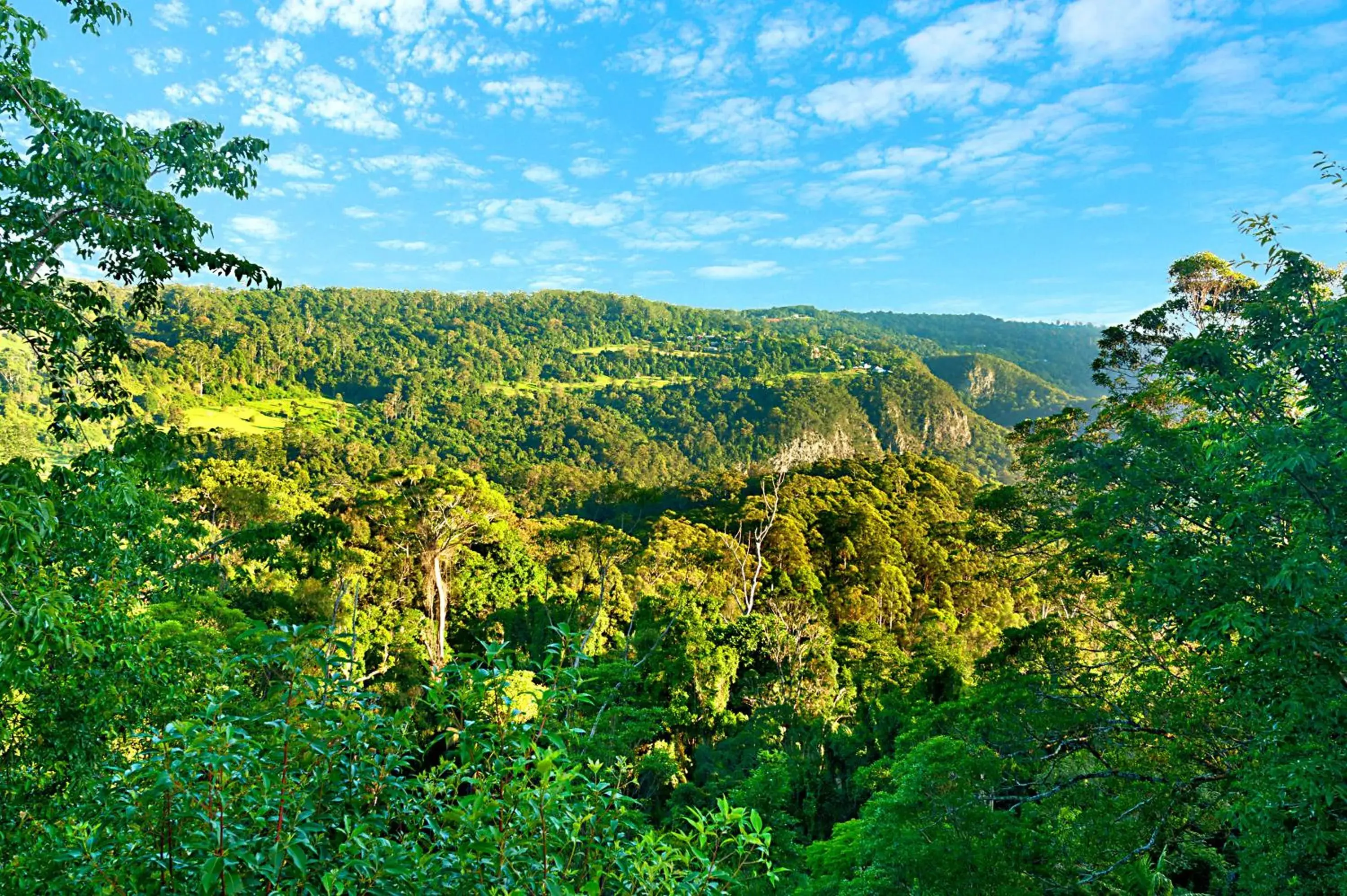 Mountain view, Natural Landscape in Escarpment Retreat & Day Spa for Couples