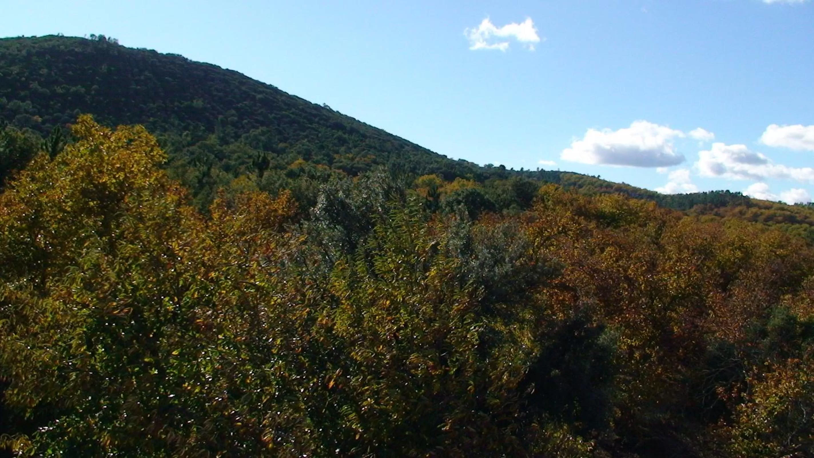 Natural landscape in Hotel Apartamento Rural Finca La Media Legua