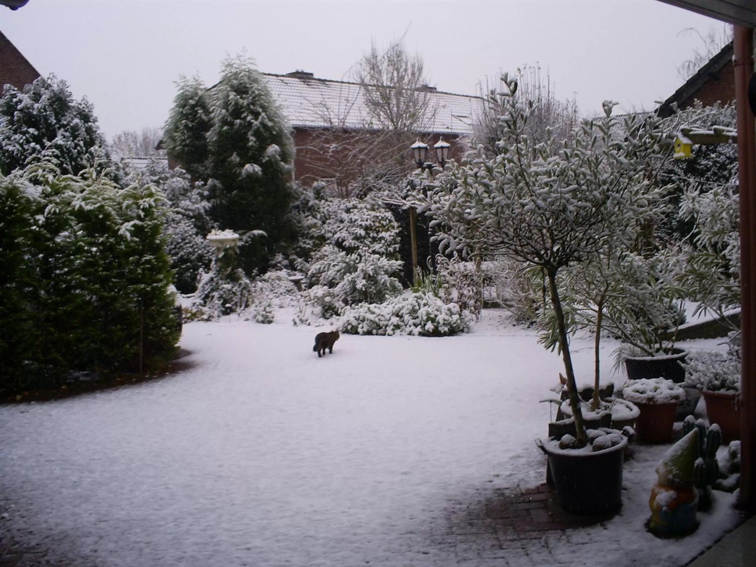 Garden view in Bed and Breakfast Azzurro