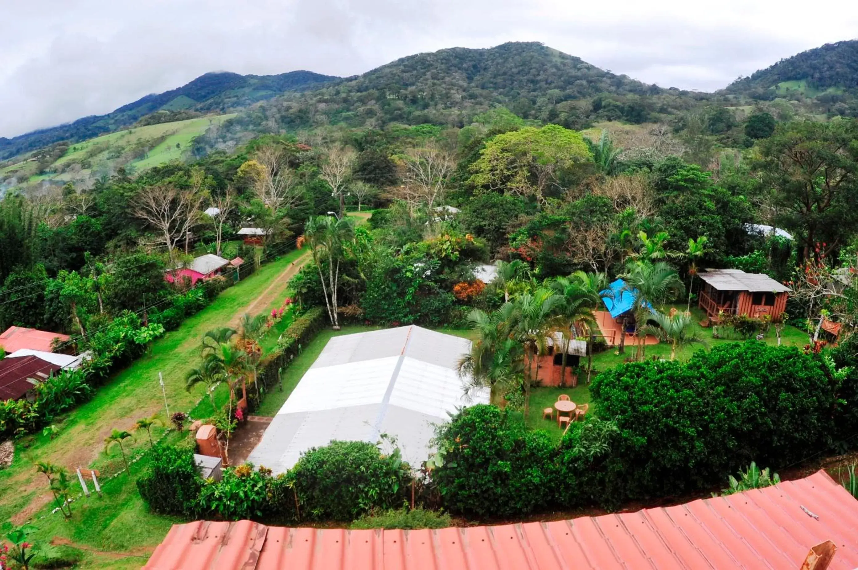 Bird's eye view, Bird's-eye View in Ecobiosfera