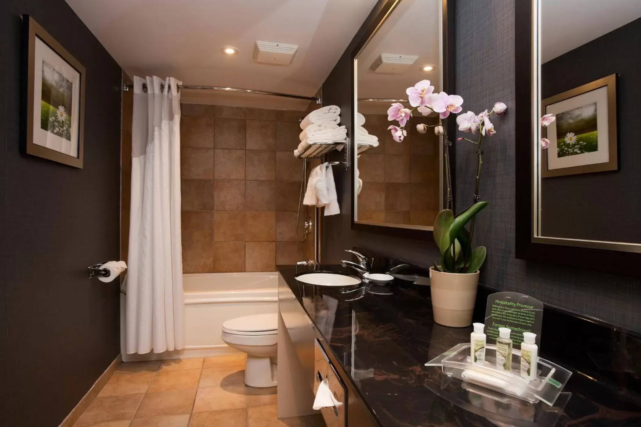 Bathroom in Holiday Inn & Suites Mississauga West - Meadowvale, an IHG Hotel