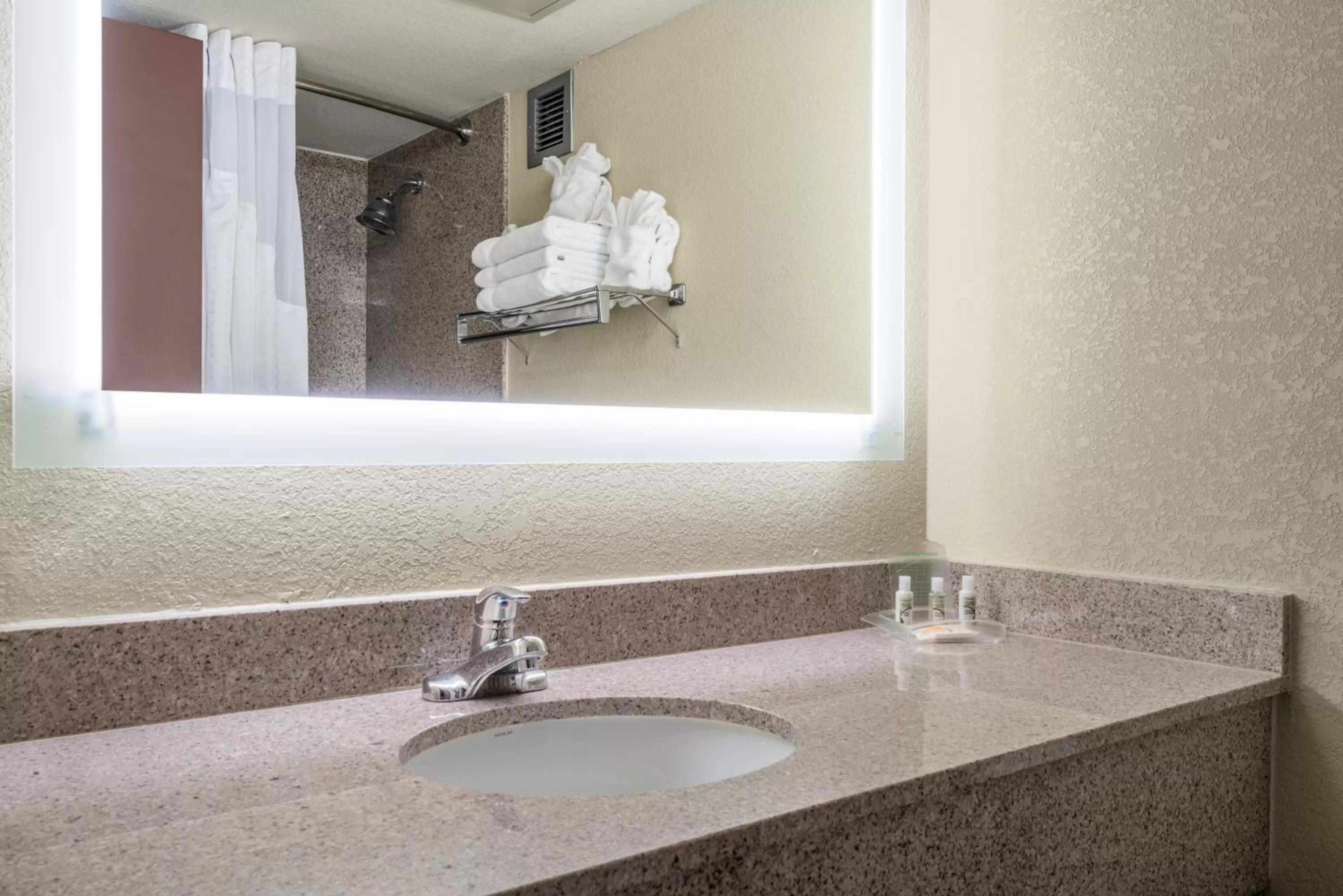 Bathroom in Holiday Inn Morgantown - Reading Area by IHG