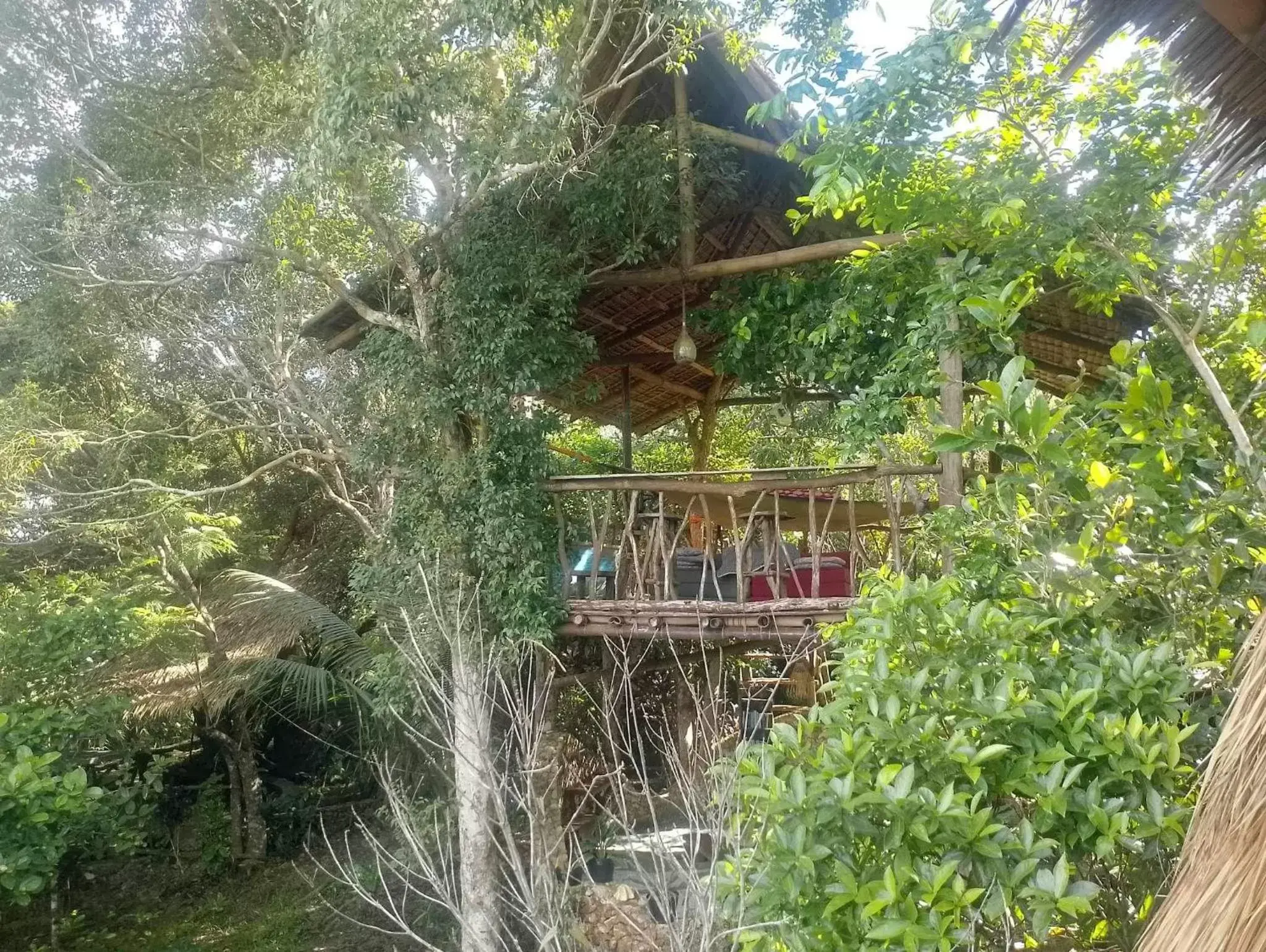 Sanctuaria Treehouses Busuanga