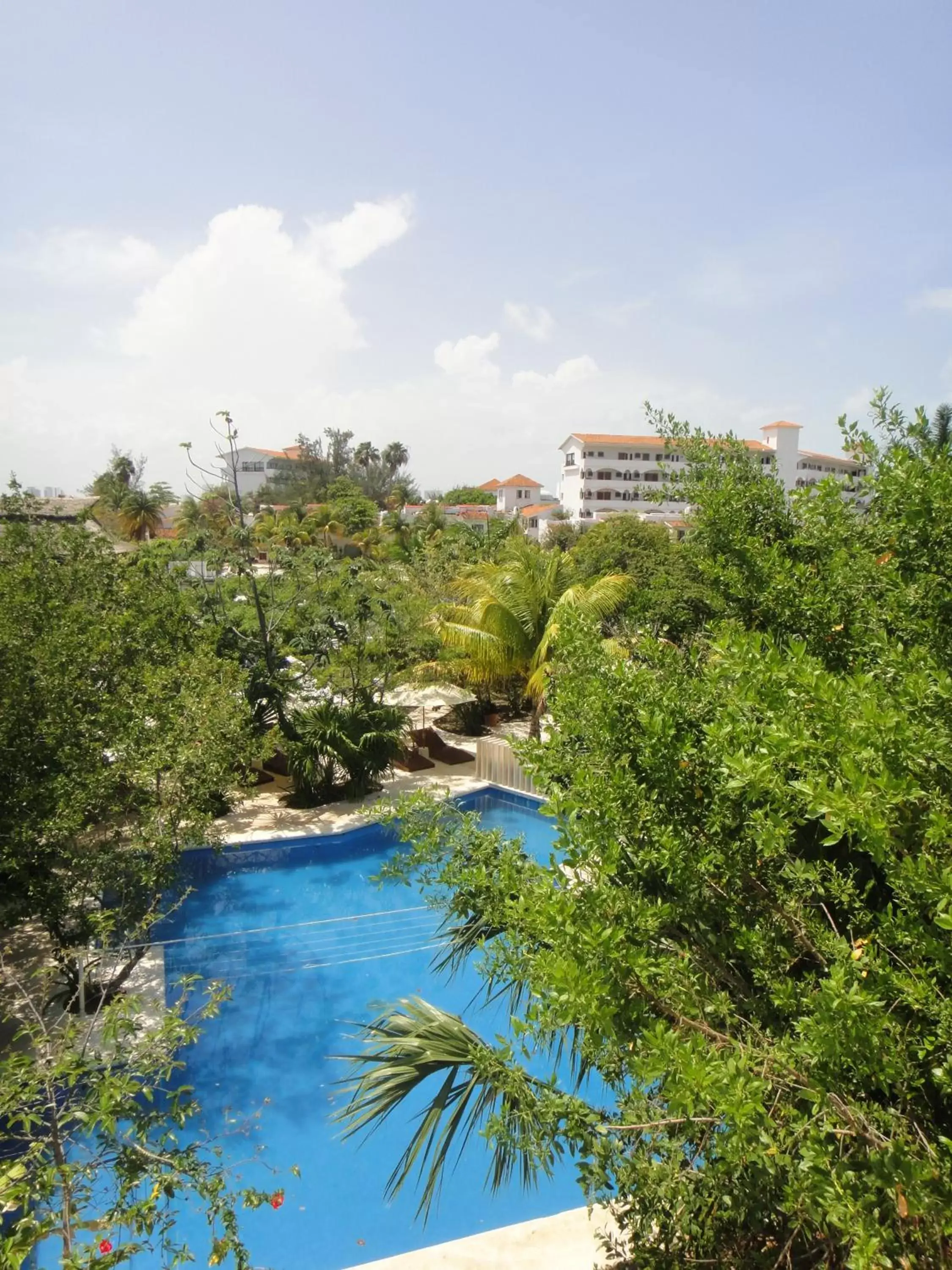 Bird's eye view, Pool View in Sotavento Hotel & Yacht Club