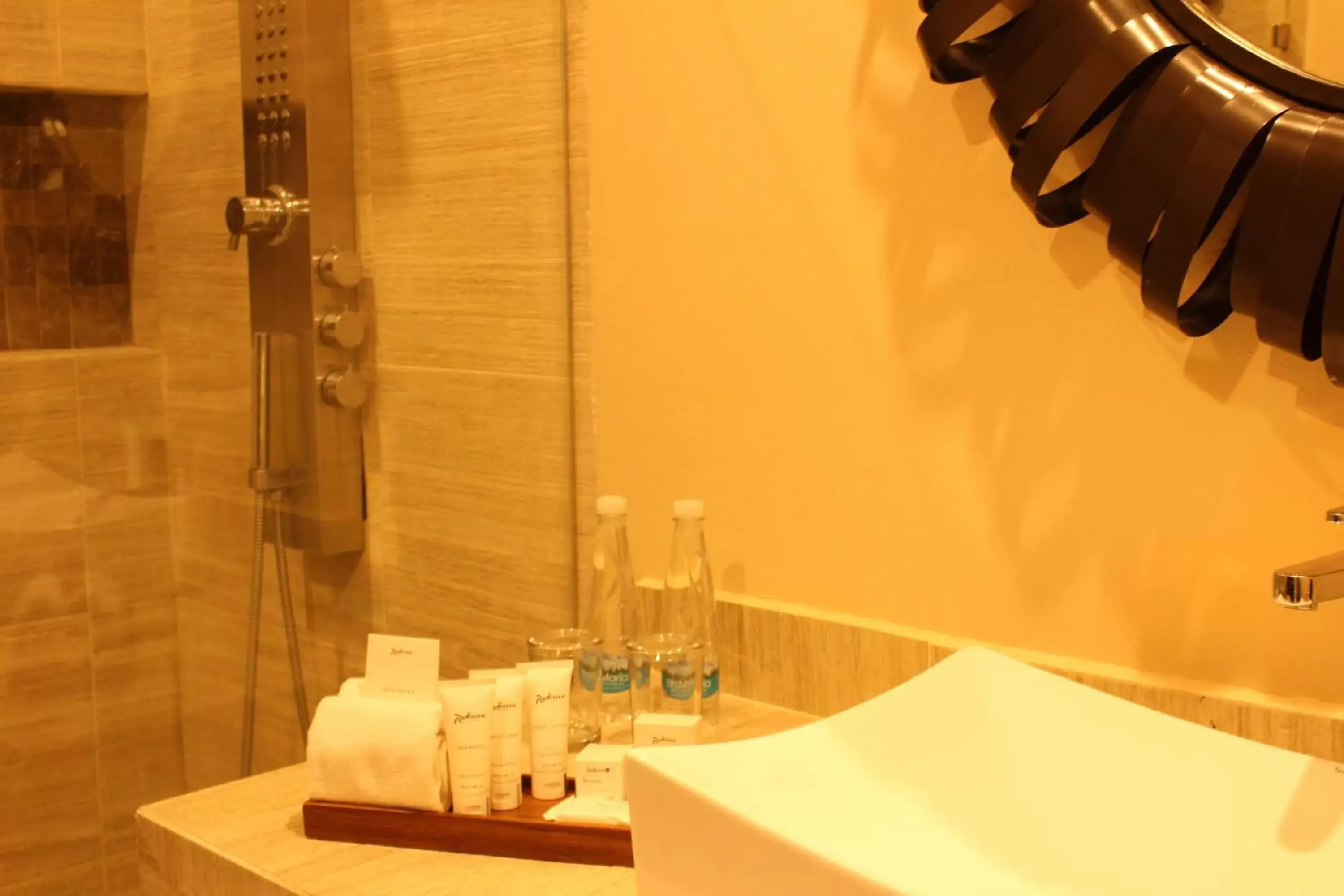 Bathroom in Radisson Hotel Tapatio Guadalajara