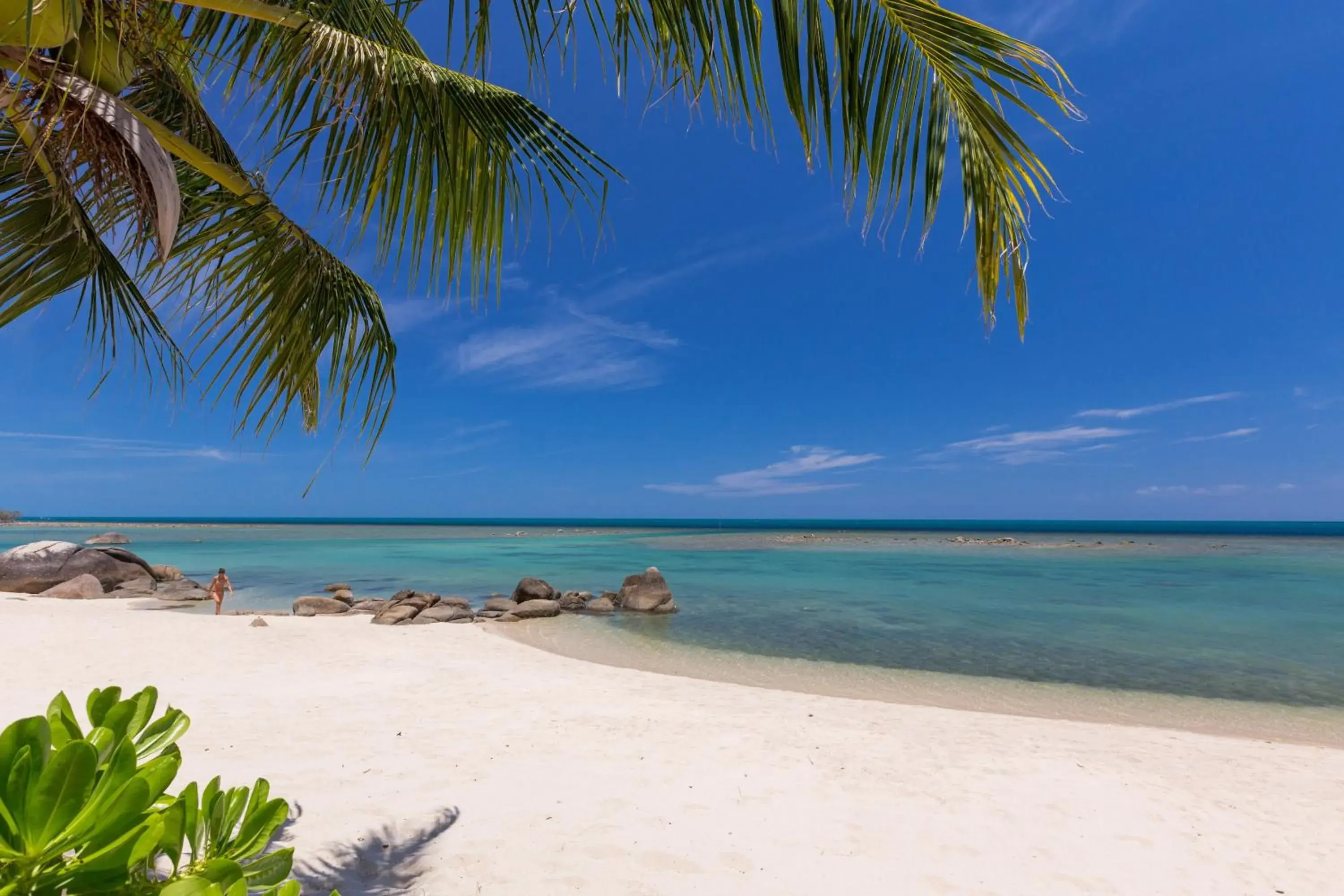 Beach, Natural Landscape in Centara Villas Samui - SHA Plus