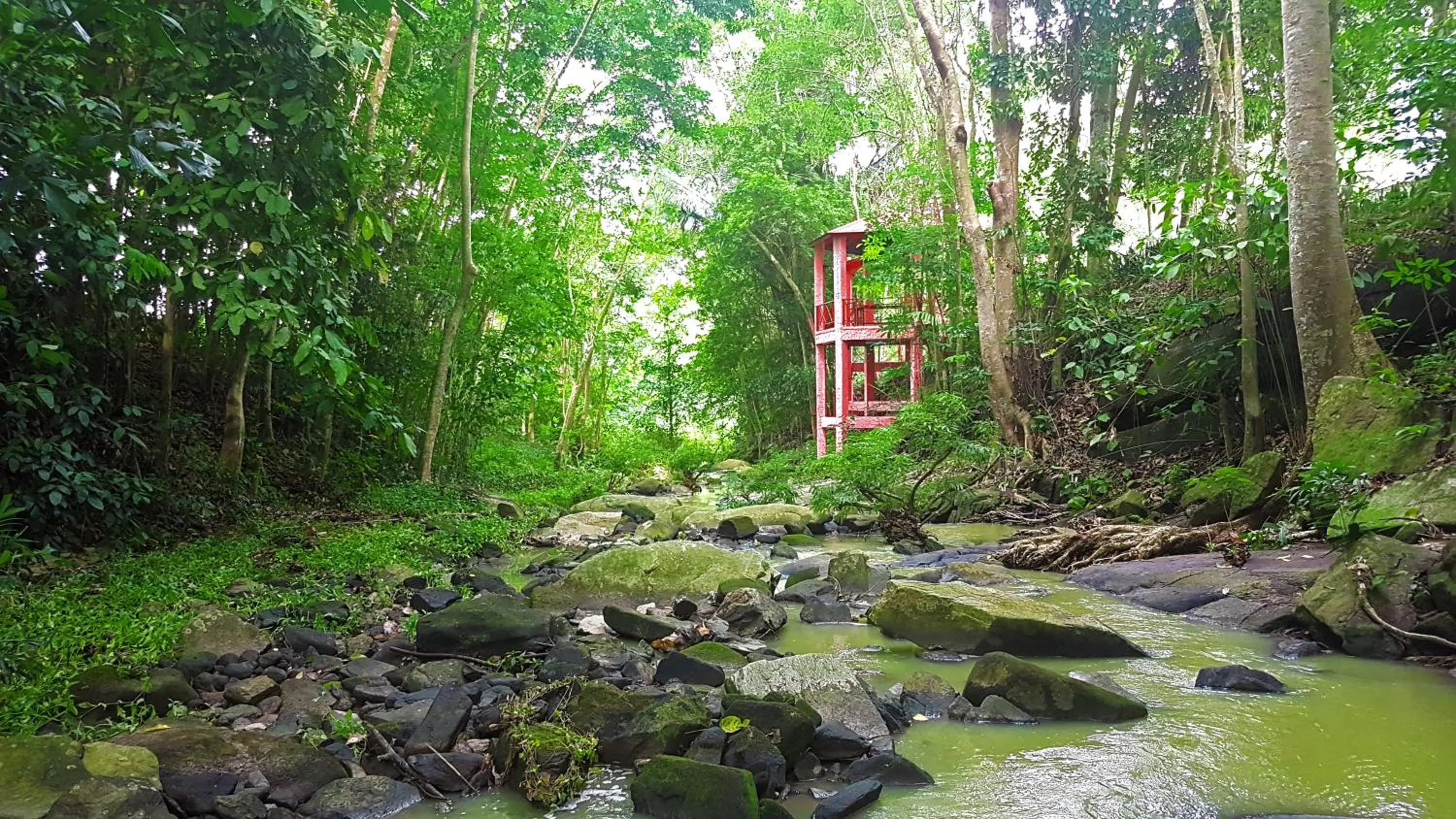 View (from property/room) in Brookside Valley Resort