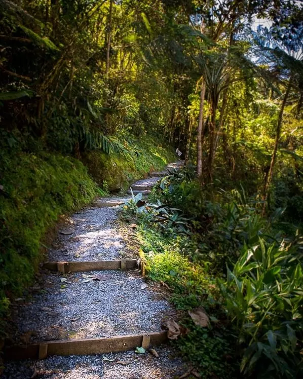 Hiking in Pousada Vila Santa Barbara