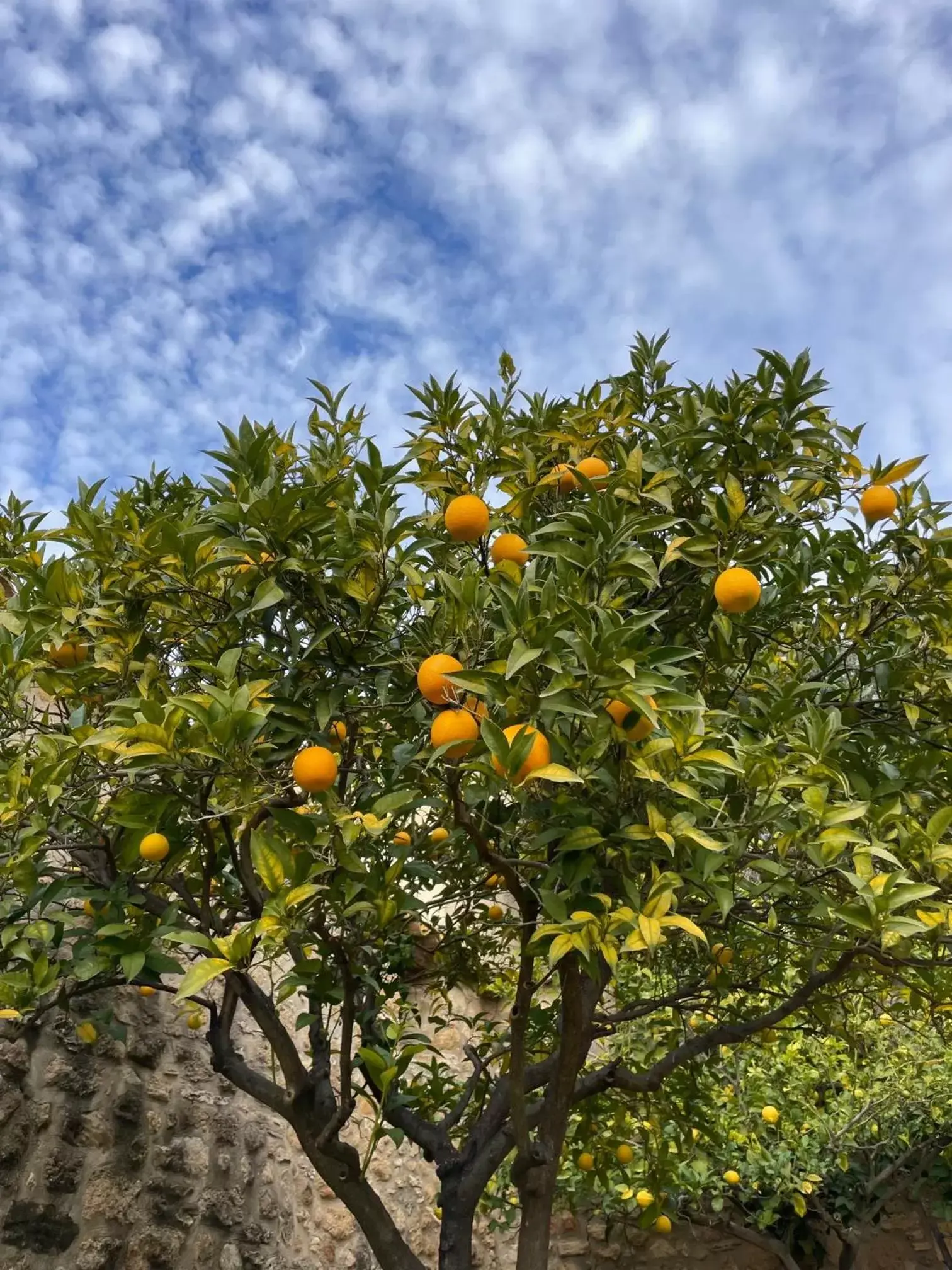 Day in Mas Feliu Turismo Rural