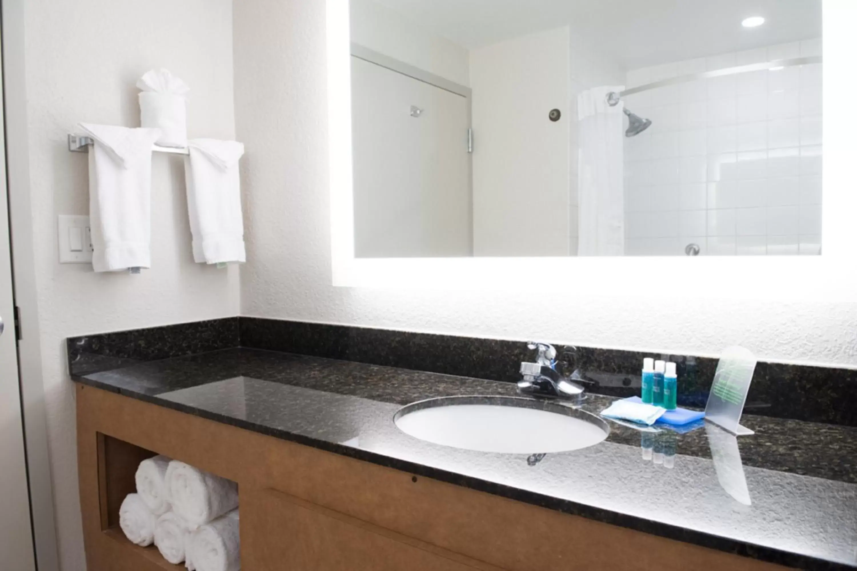 Bathroom in Holiday Inn Express Pascagoula-Moss Point, an IHG Hotel