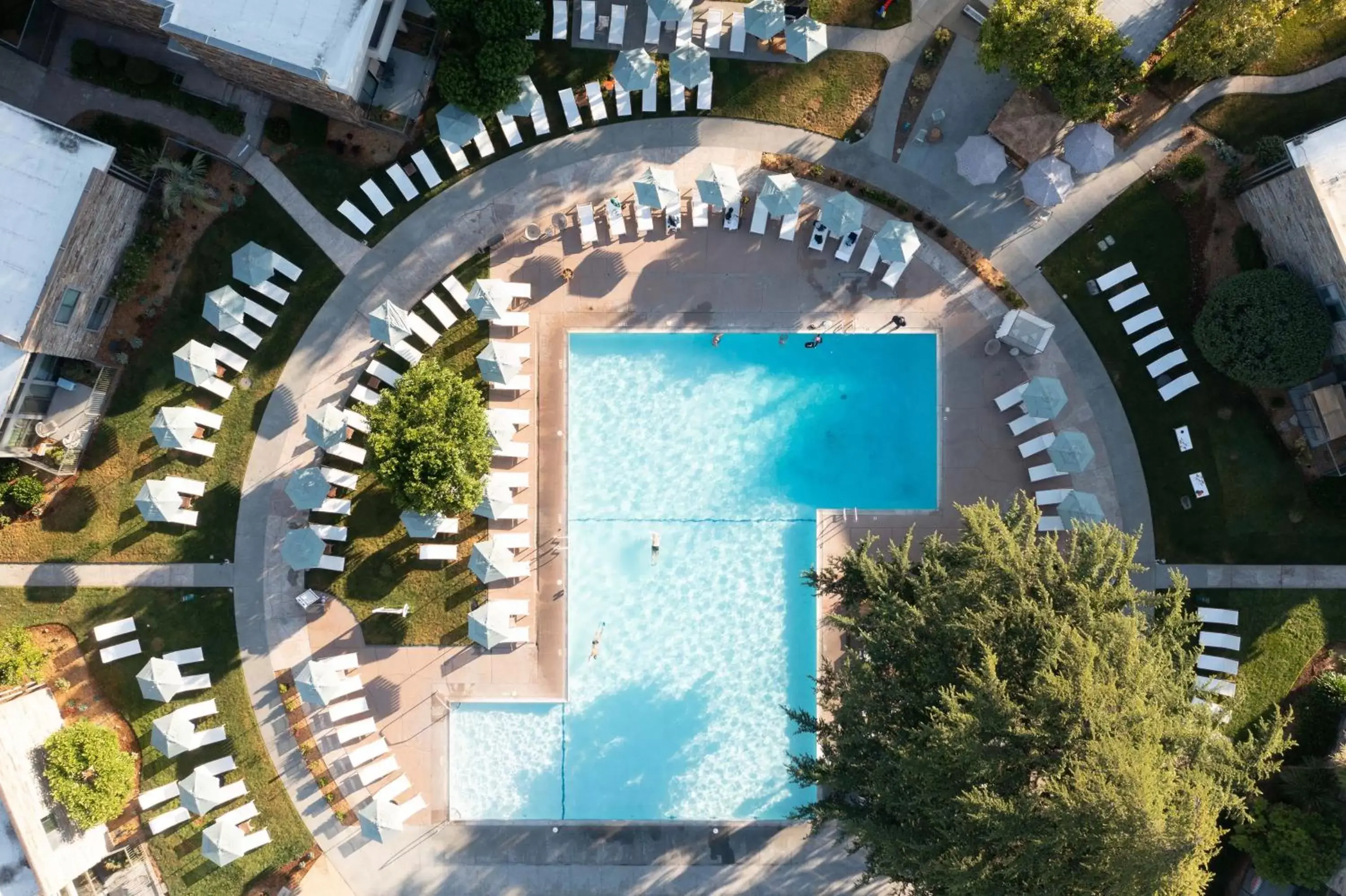 Swimming pool, Pool View in Flamingo Resort & Spa