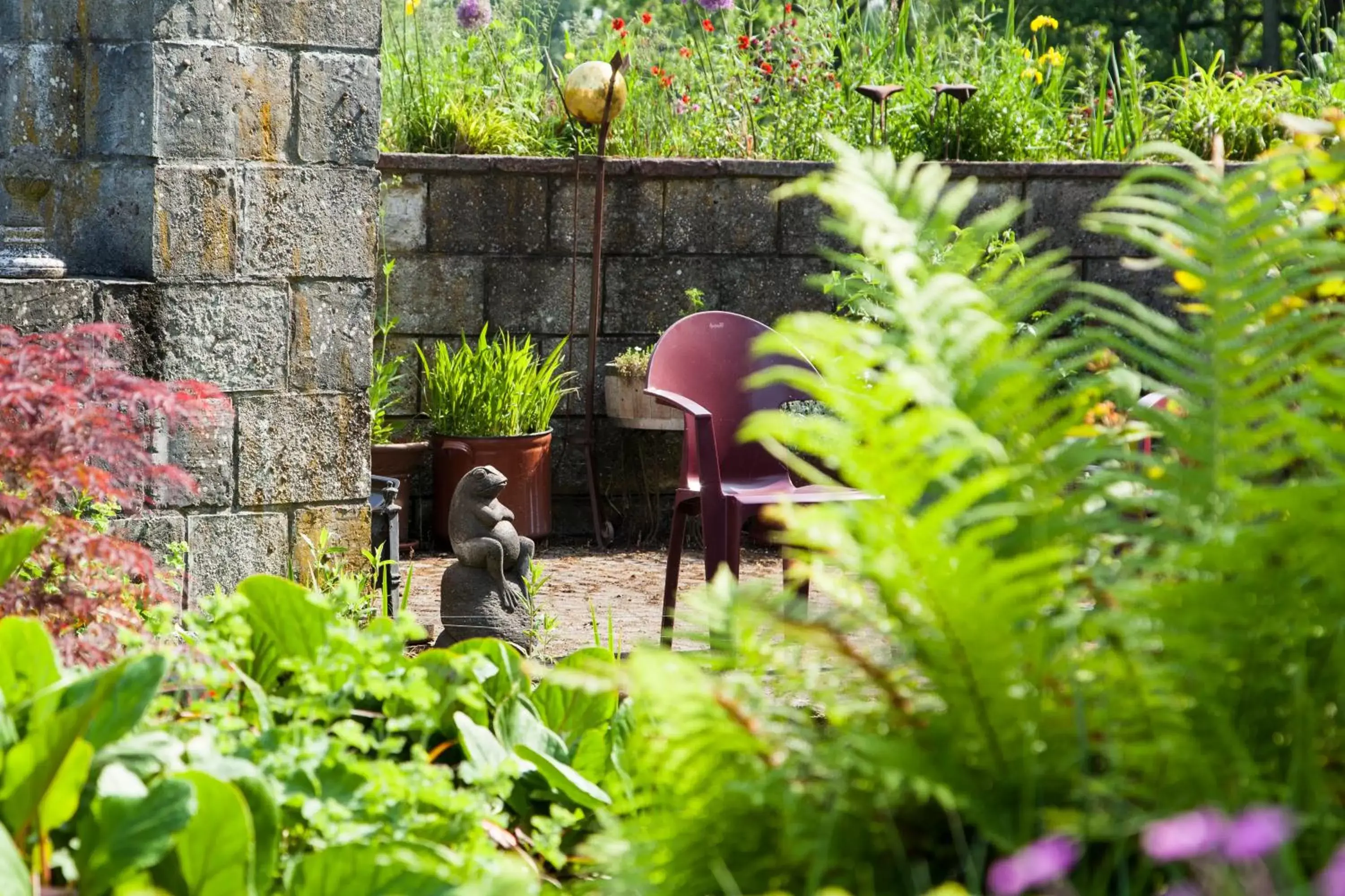 Garden, Patio/Outdoor Area in De Wiede Blik