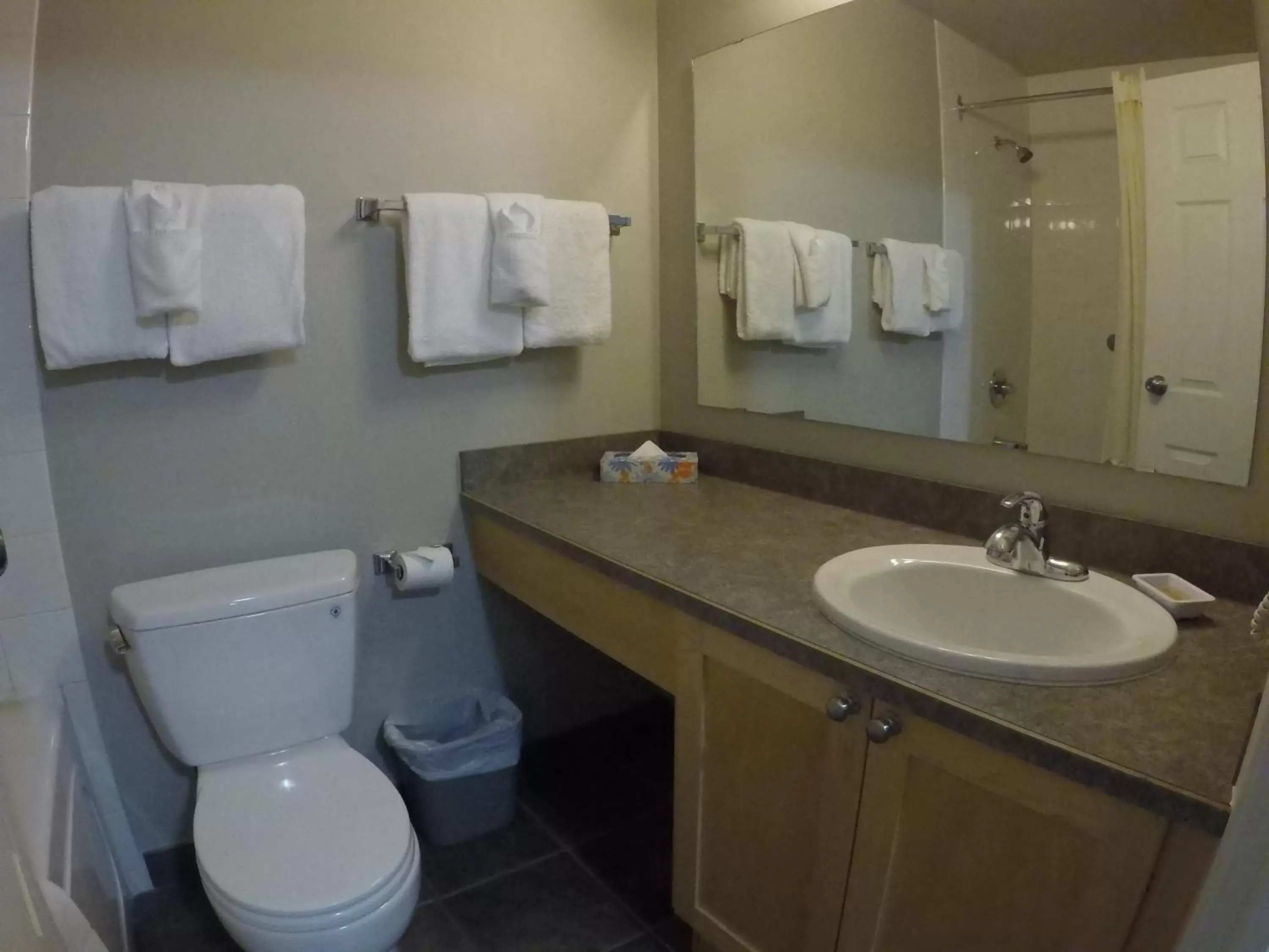 Toilet, Bathroom in Panorama Vacation Retreat at Horsethief Lodge