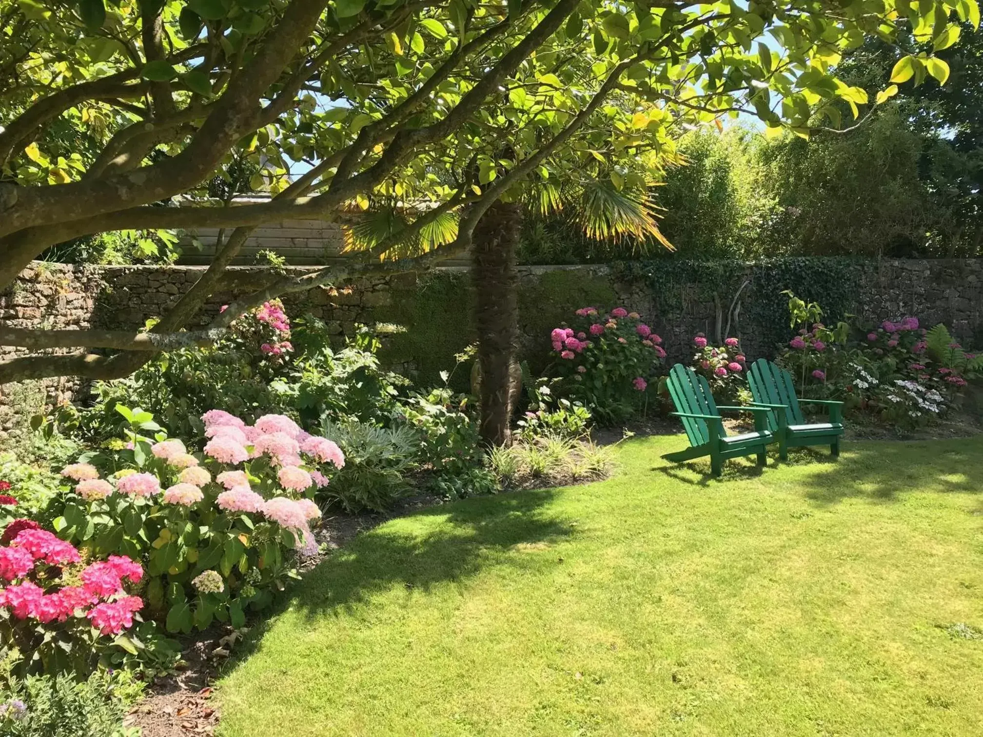 Garden in Hotel de France