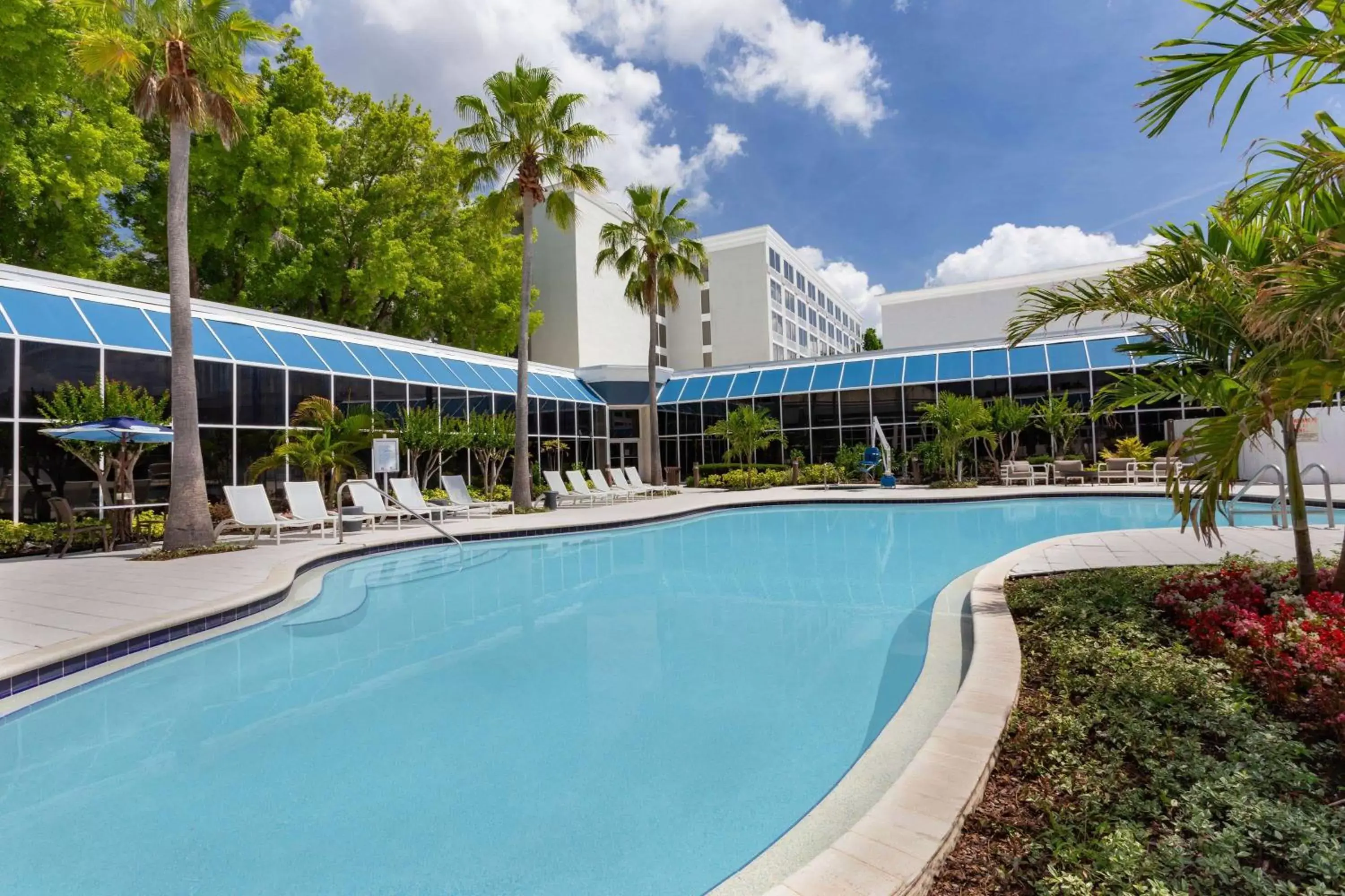 Activities, Swimming Pool in Wyndham Orlando Resort & Conference Center, Celebration Area