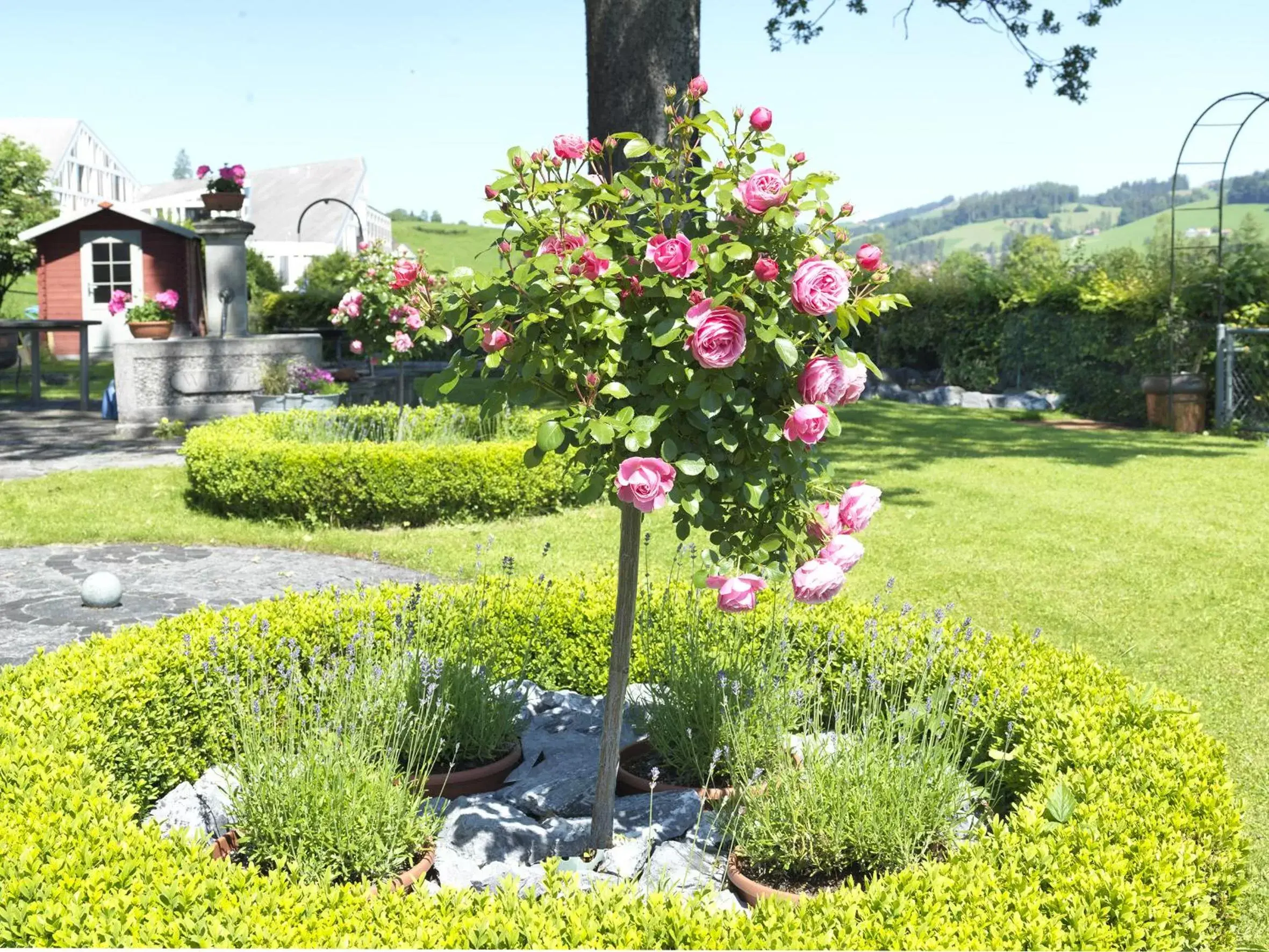 Garden in Alpenheim