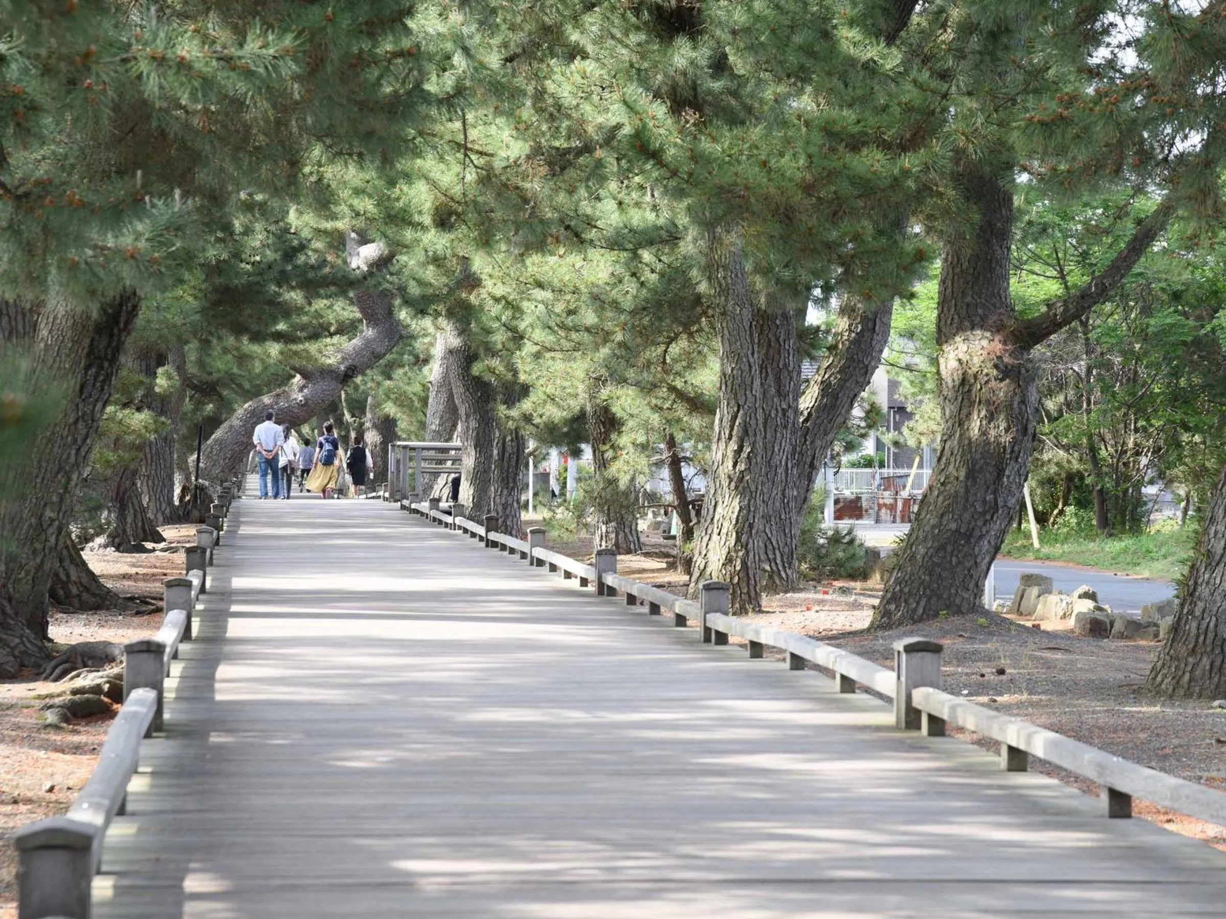 Off site in Hotel Hagoromo