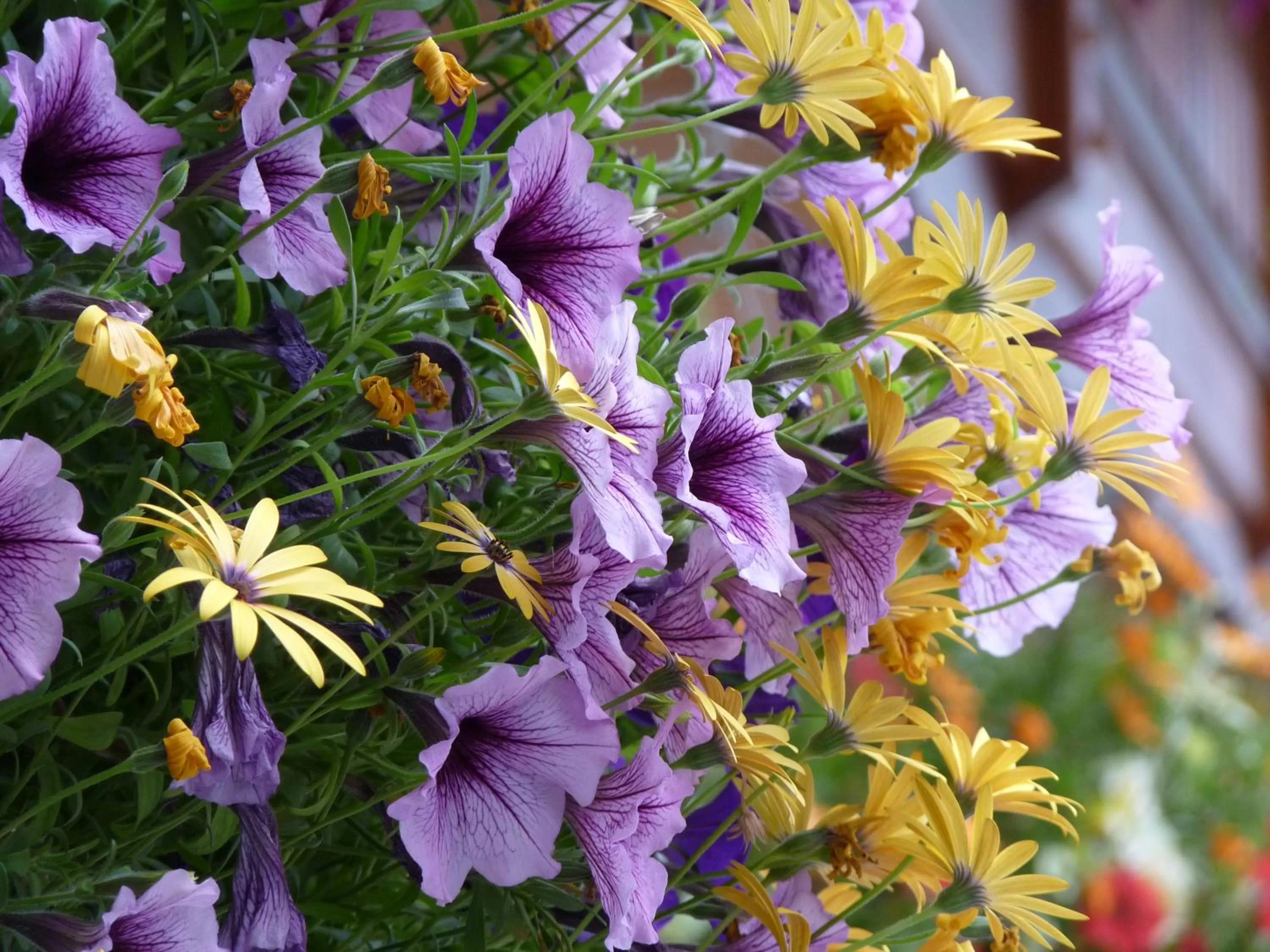 Other in Gateway Motel