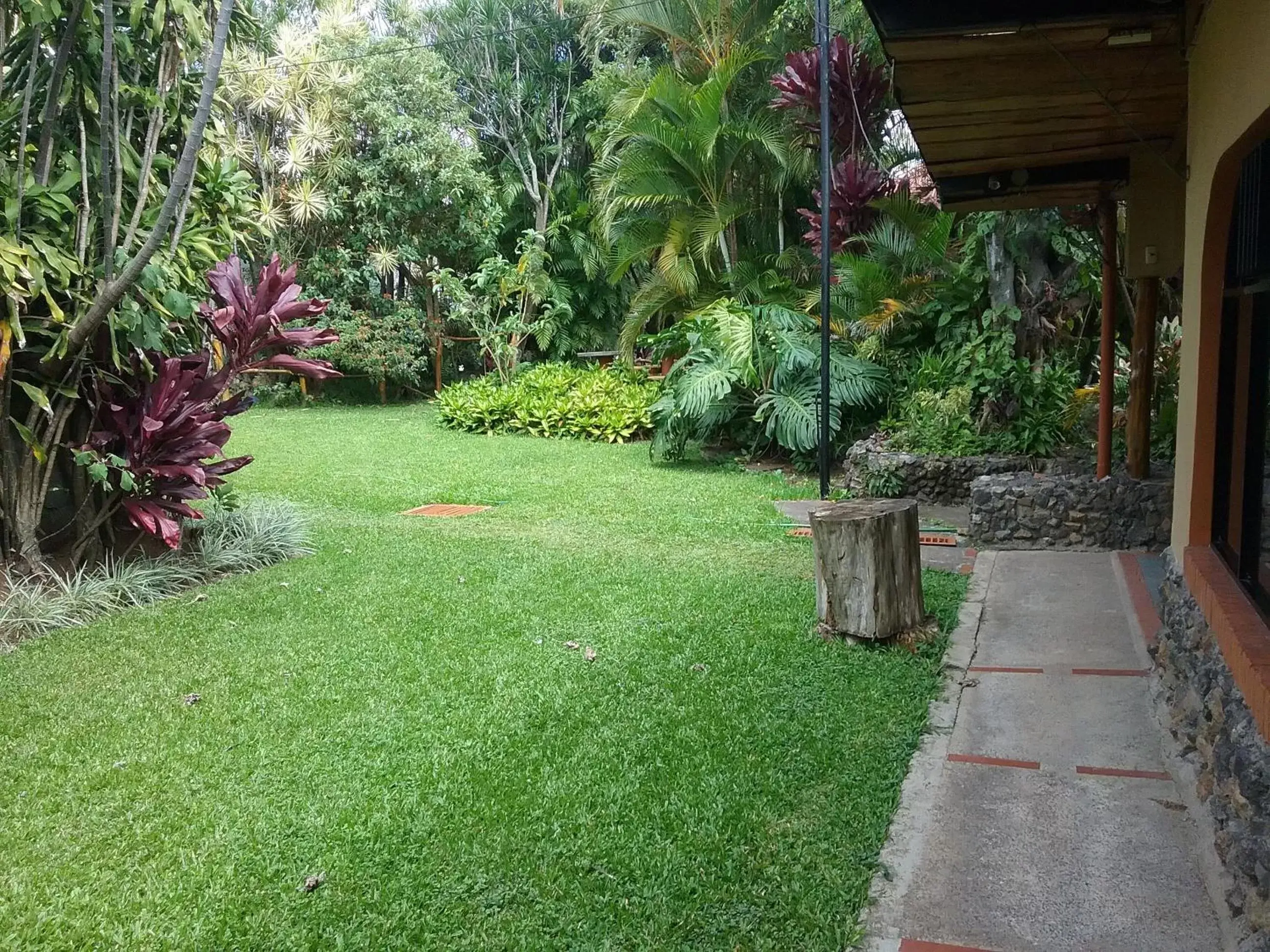 Garden in Hotel Cibeles Resort