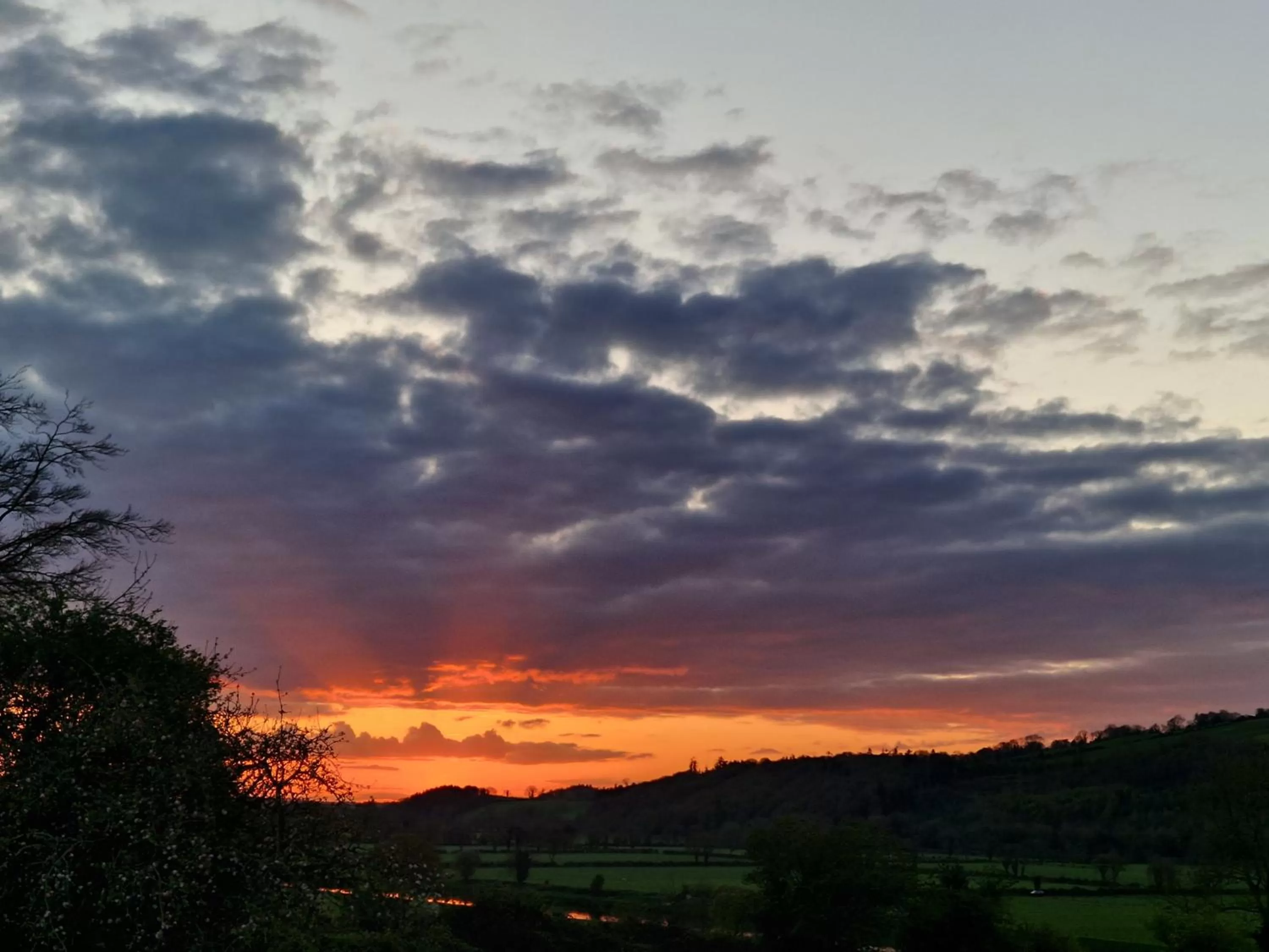 Cable Island Bed and Breakfast