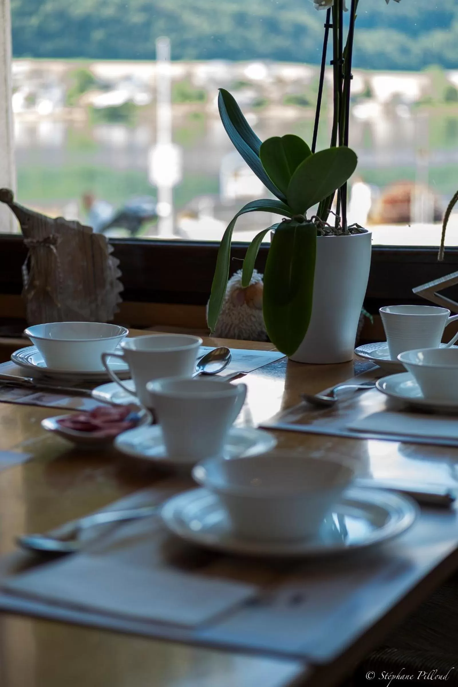 Lunch in HOTEL de la Truite & SPA Le petit Nautilus