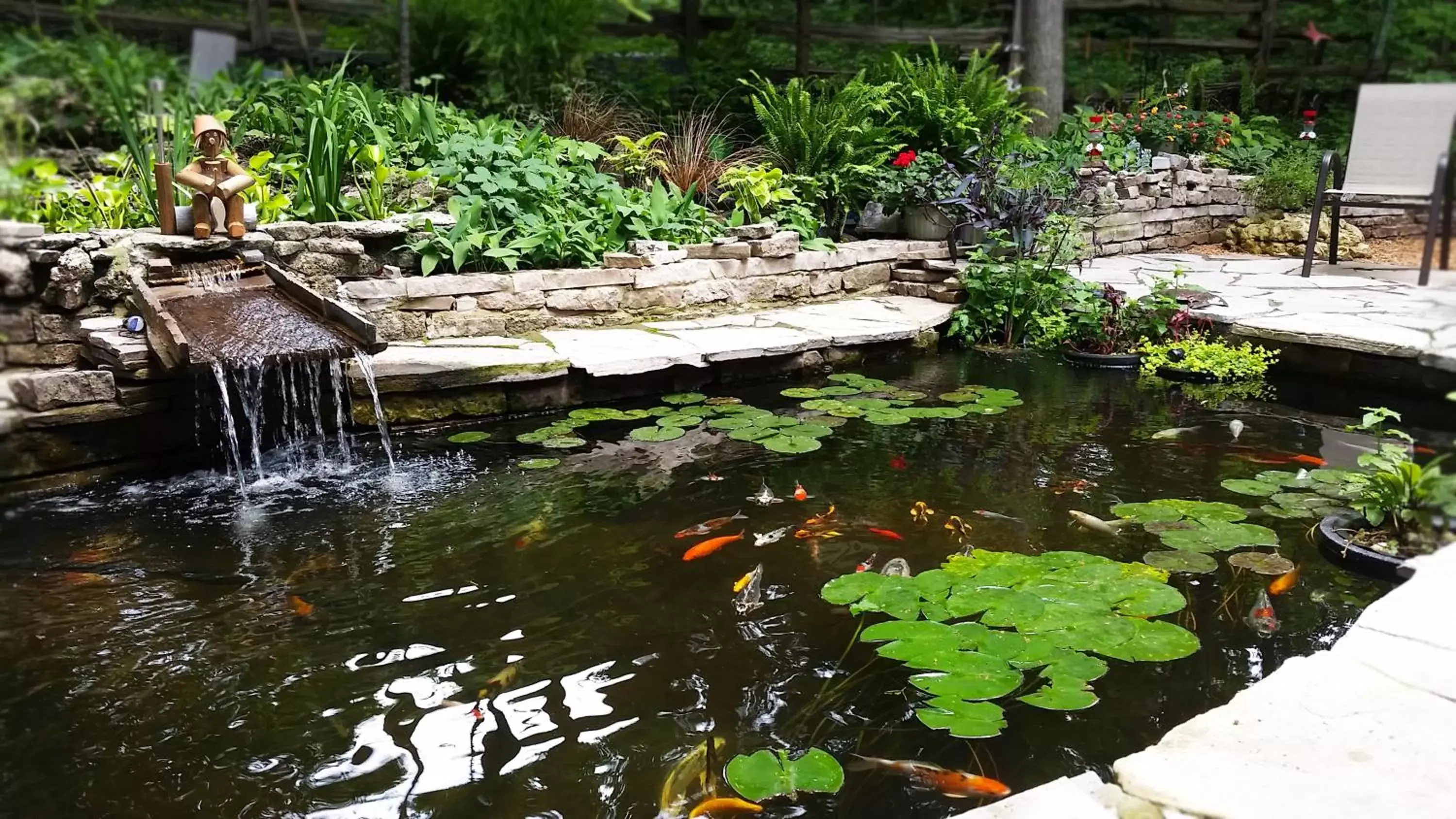 Garden in Forest Hill Bed and Breakfast