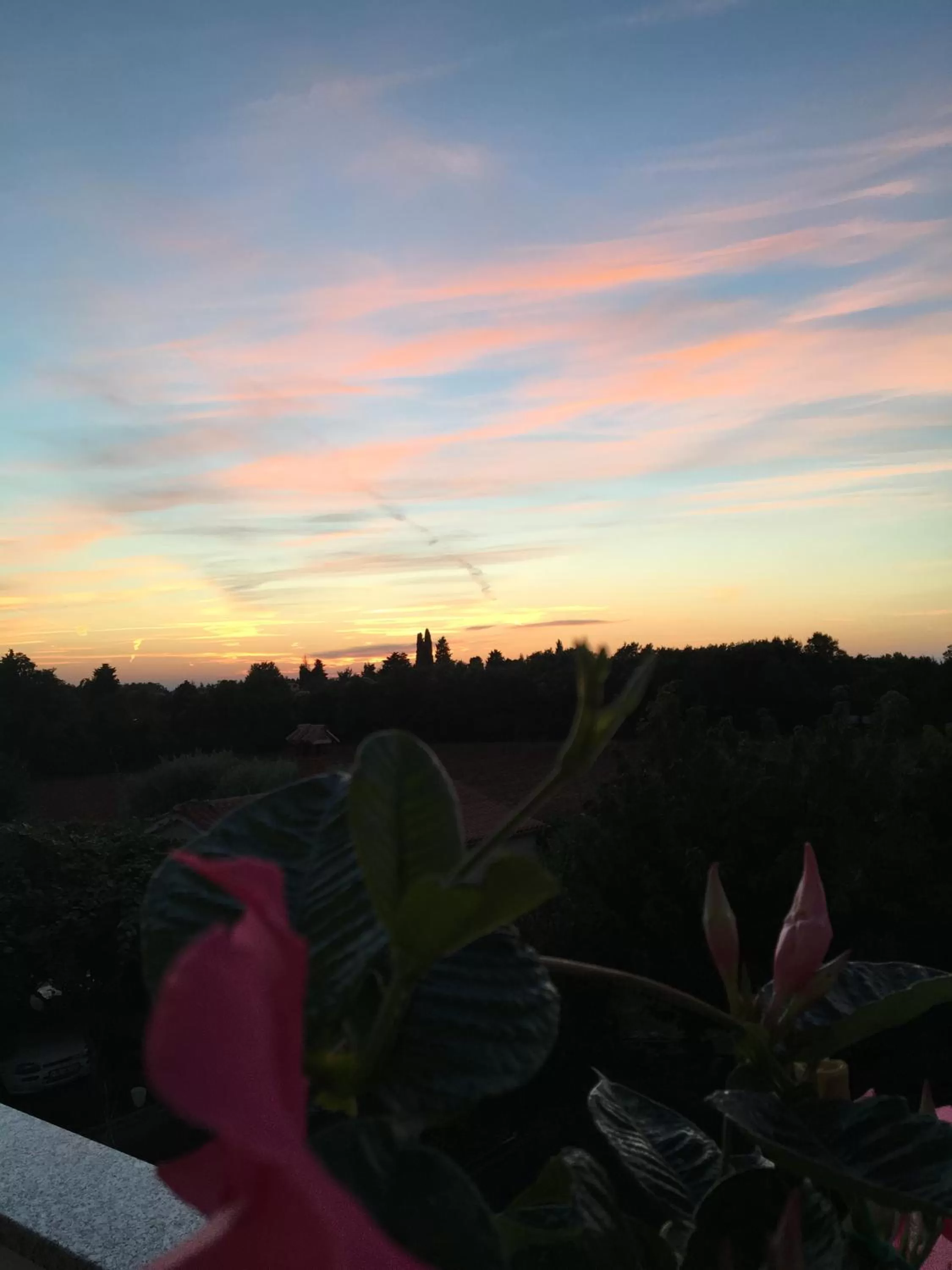 View (from property/room) in Rooms Edda