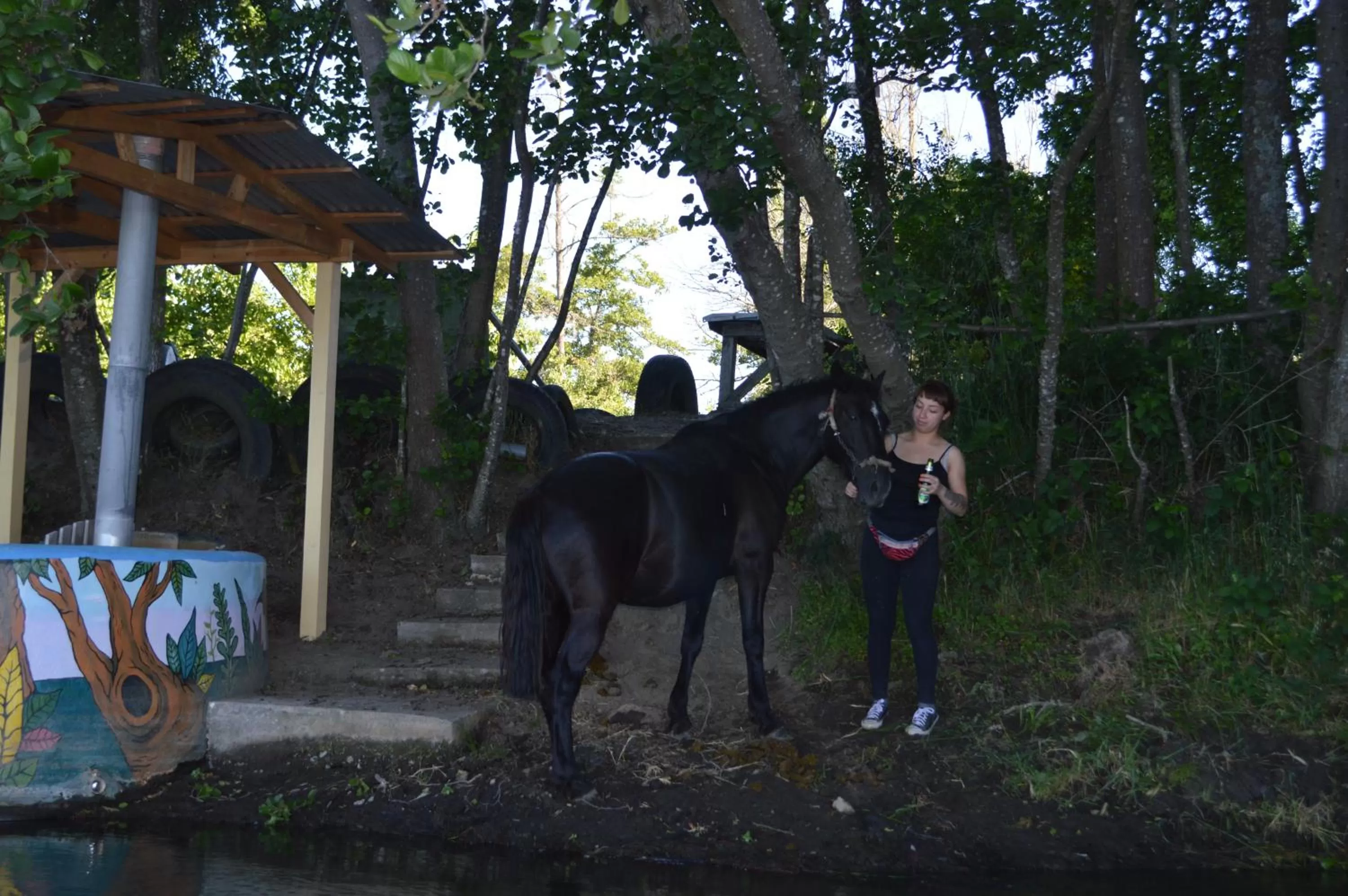 Coyunche Cabañas y Camping Laja & San Rosendo