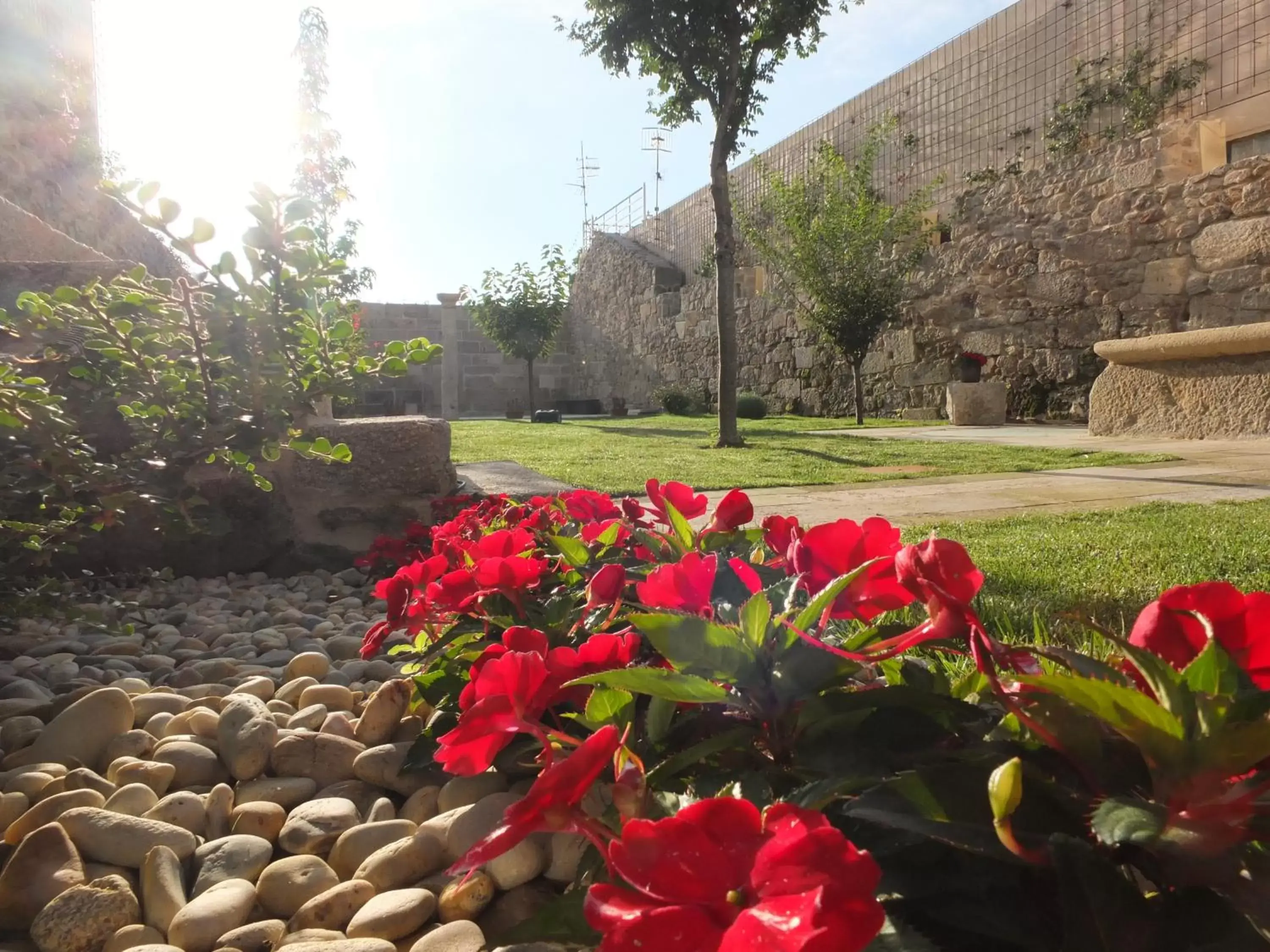 Garden in ACOUGA Hotel Boutique