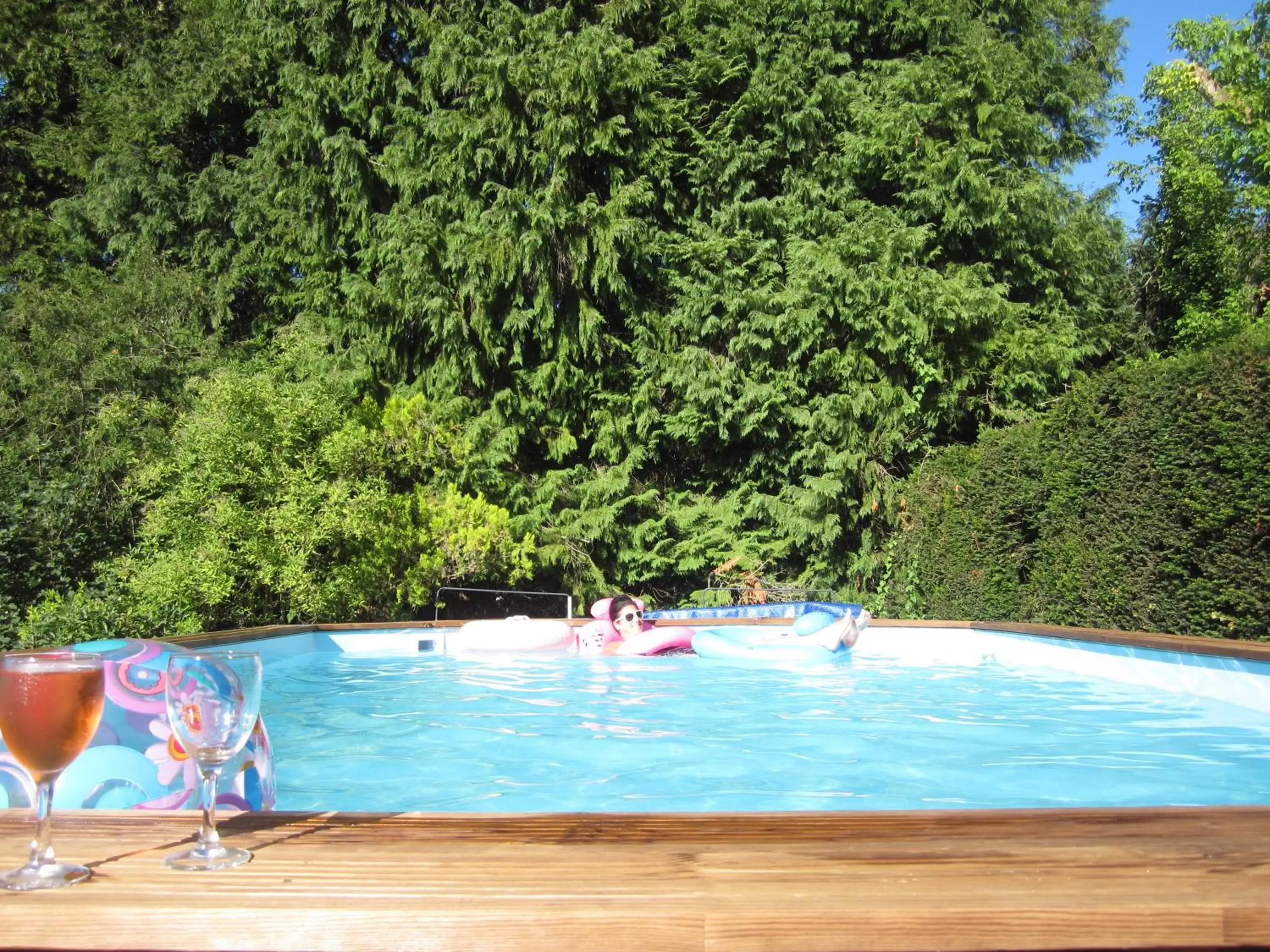 Swimming pool in La Croix du Reh