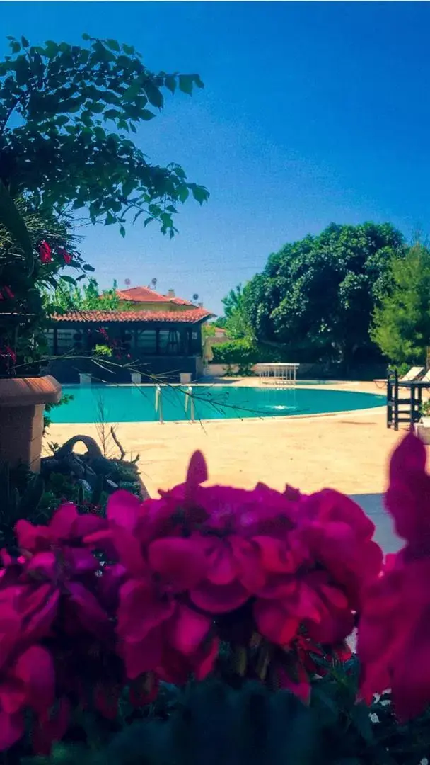 Swimming Pool in Hotel Palme Dalyan