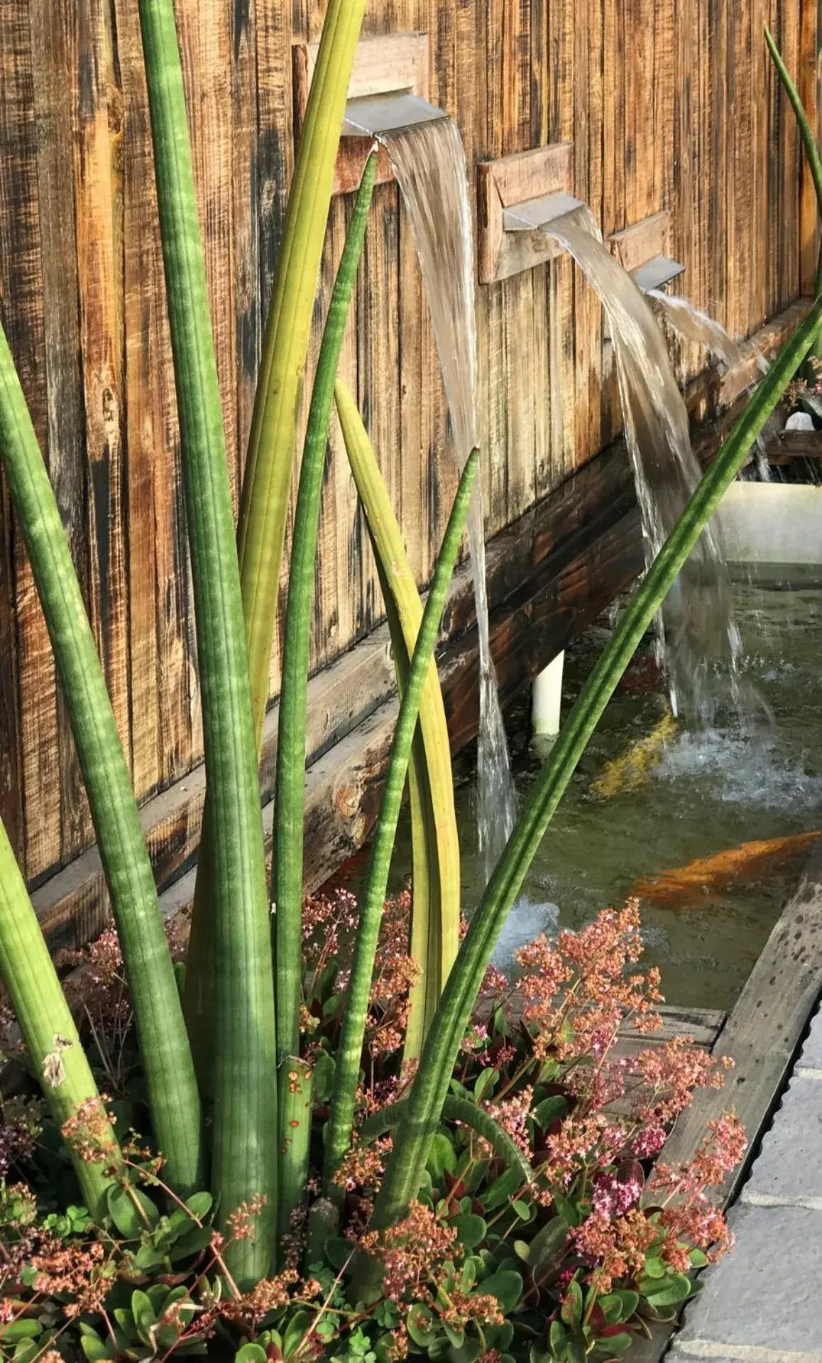 Decorative detail in Lavender Moon Guest House