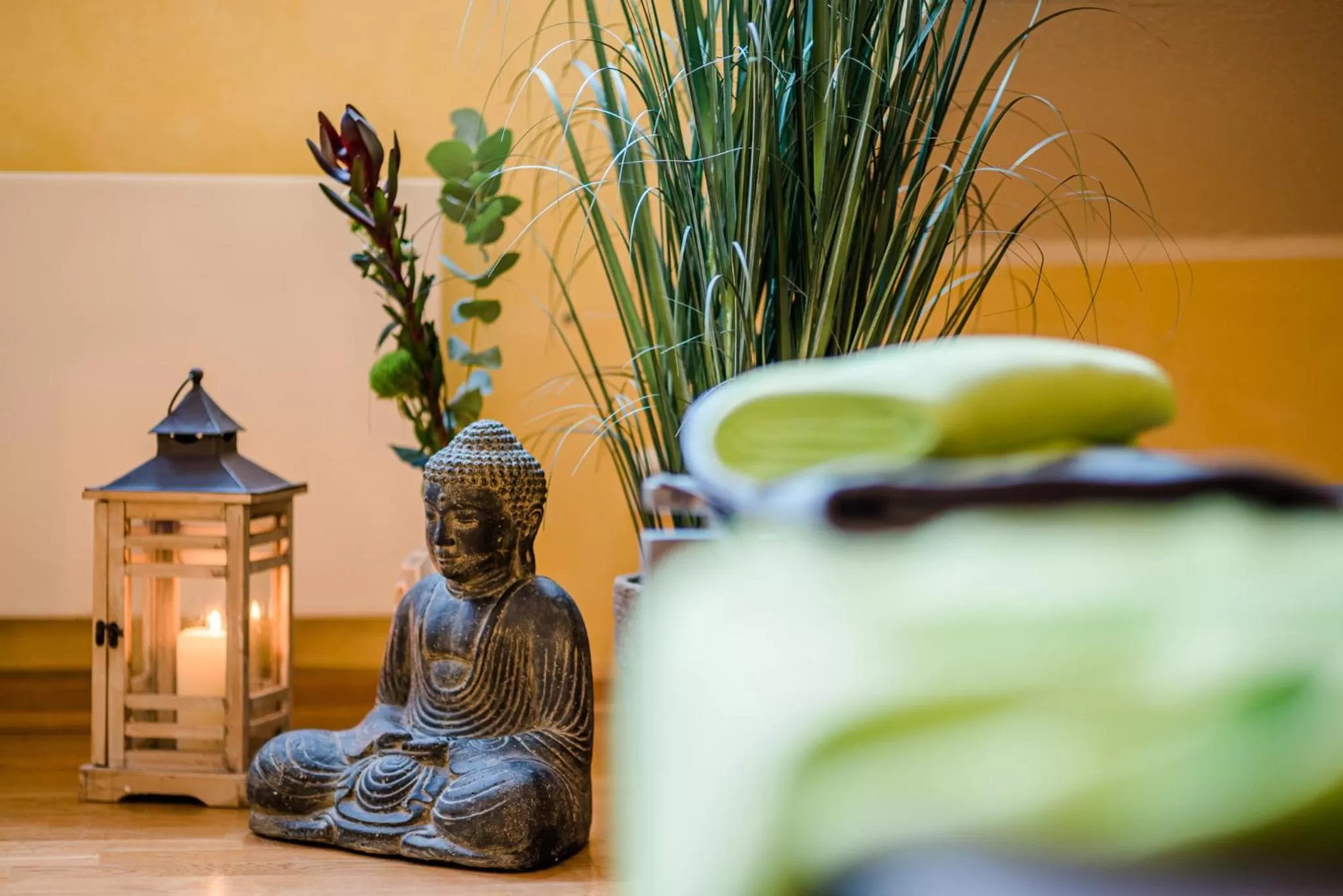 Area and facilities in Sporthotel Grafenwald 4 Sterne Superior