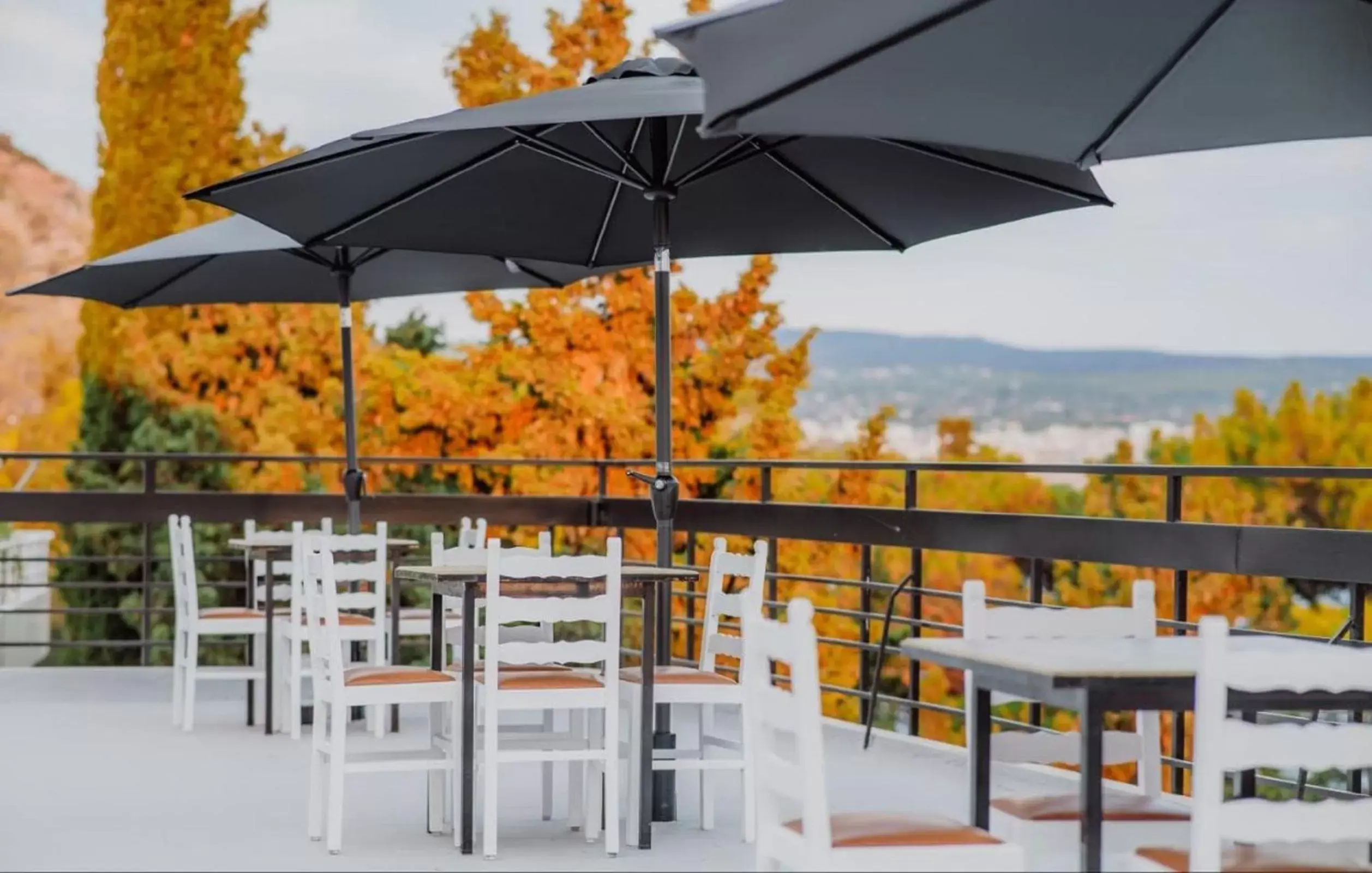 Balcony/Terrace, Restaurant/Places to Eat in Genesis Hotel