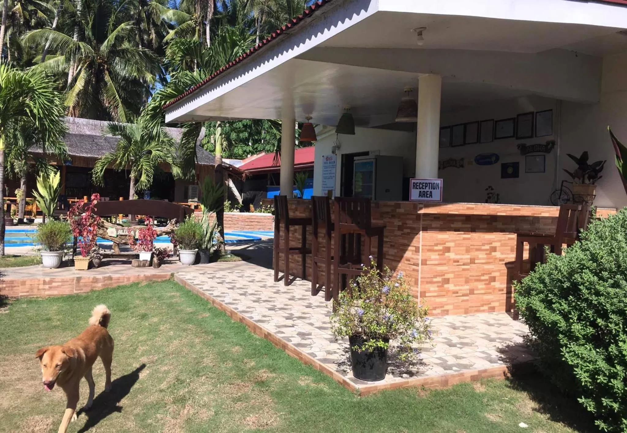 Property building in Aloha Seaside Resort