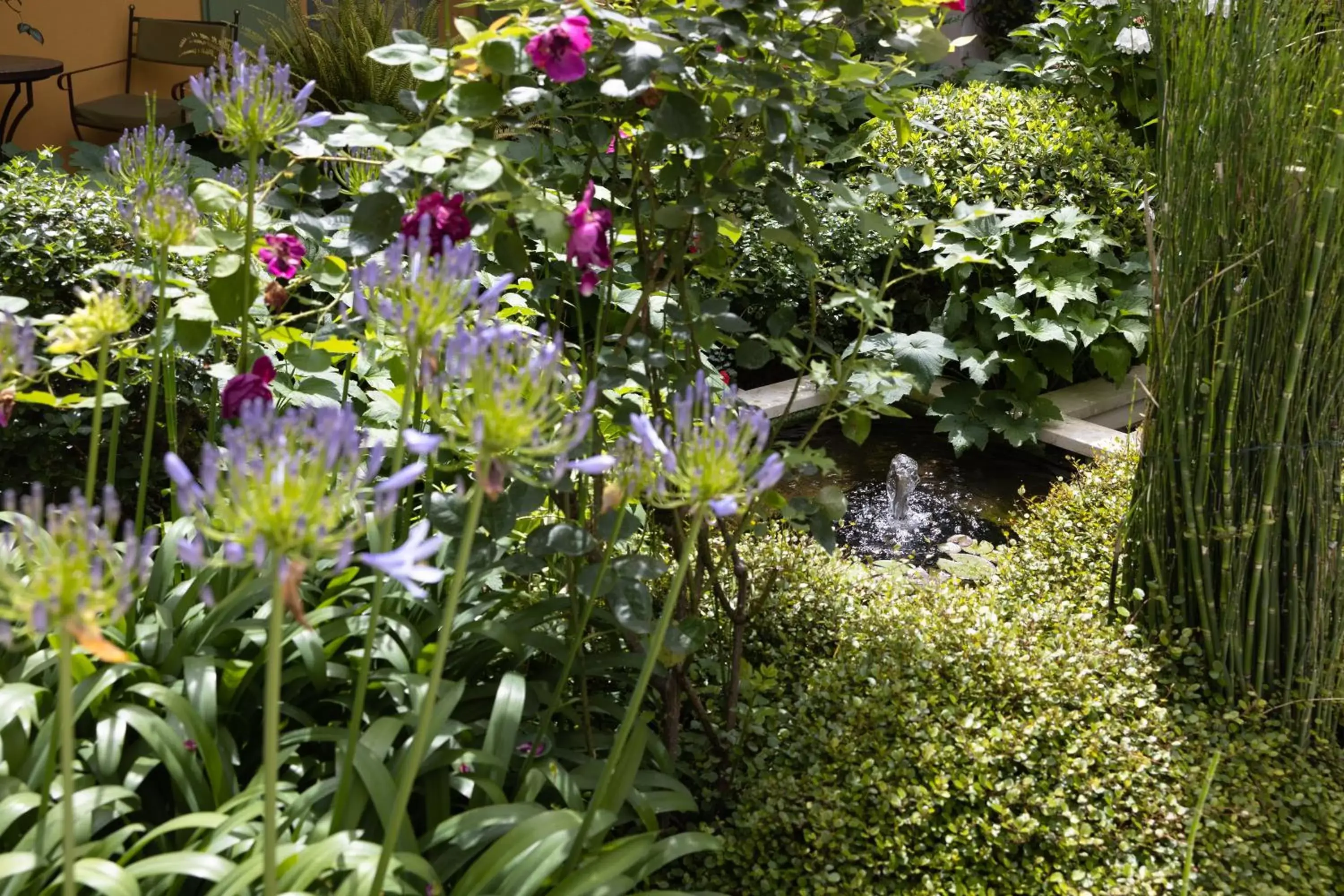 Garden in Hôtel de Toiras