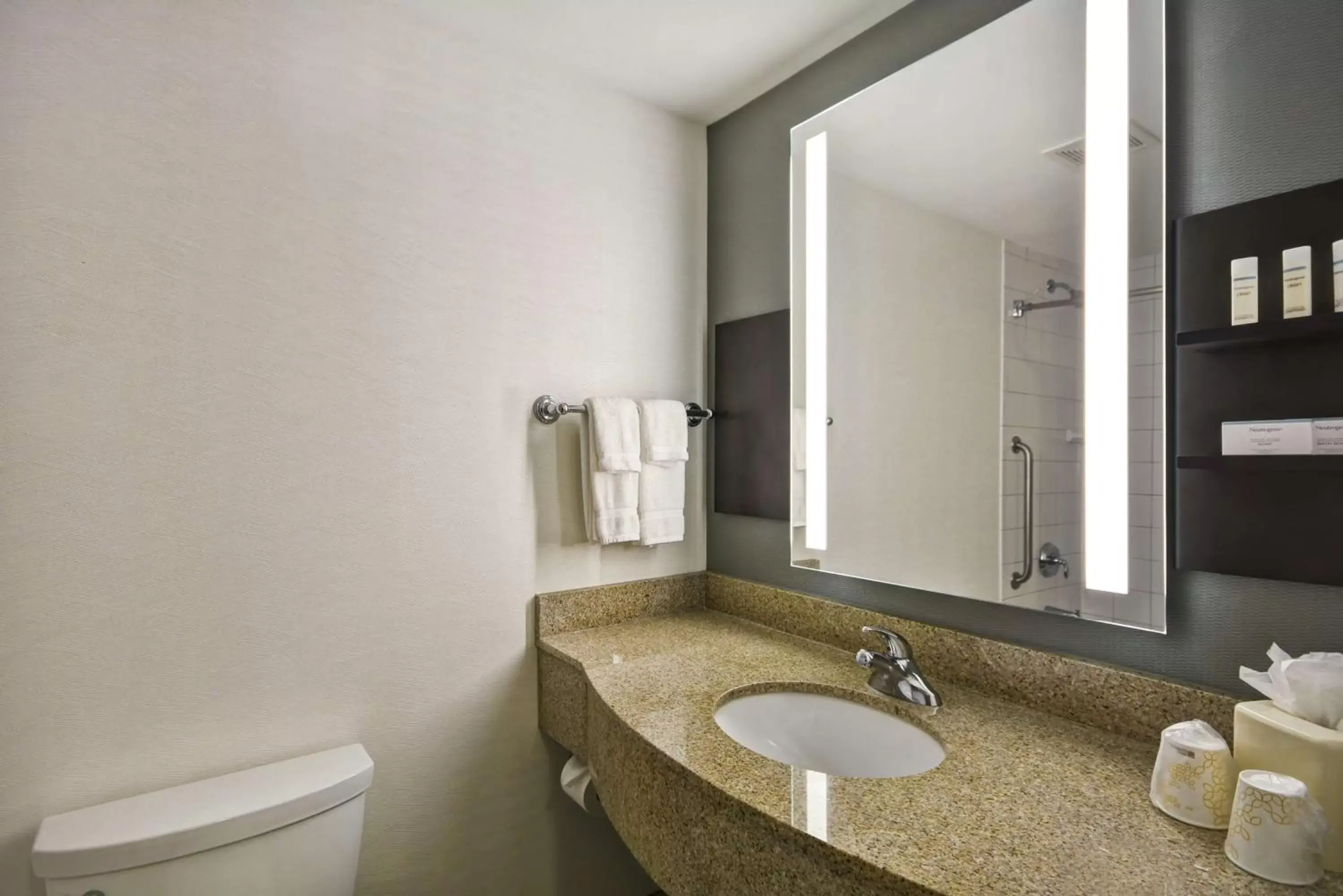 Bathroom in Hilton Garden Inn Gulfport - Biloxi Airport