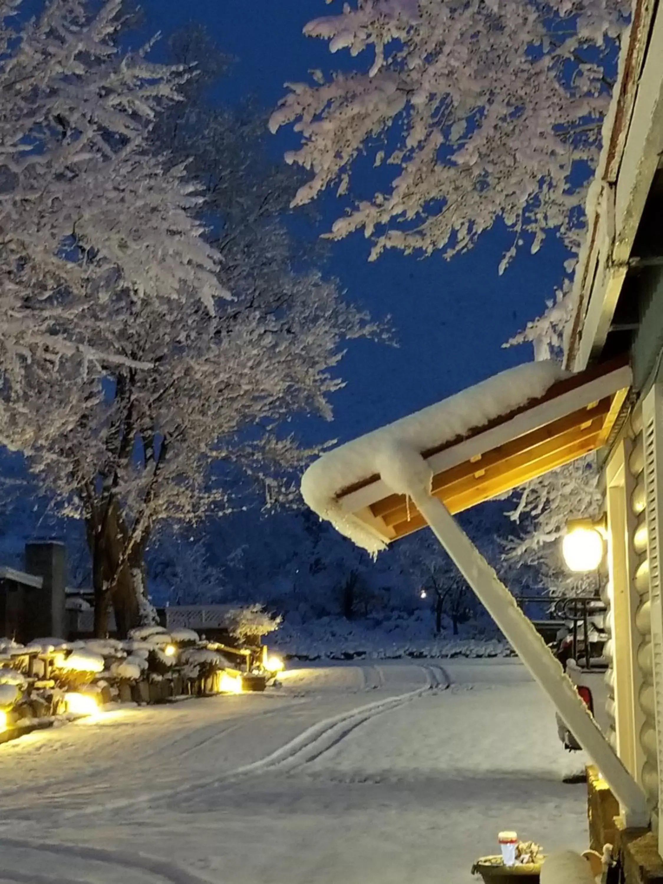 On site in Toiyabe Motel