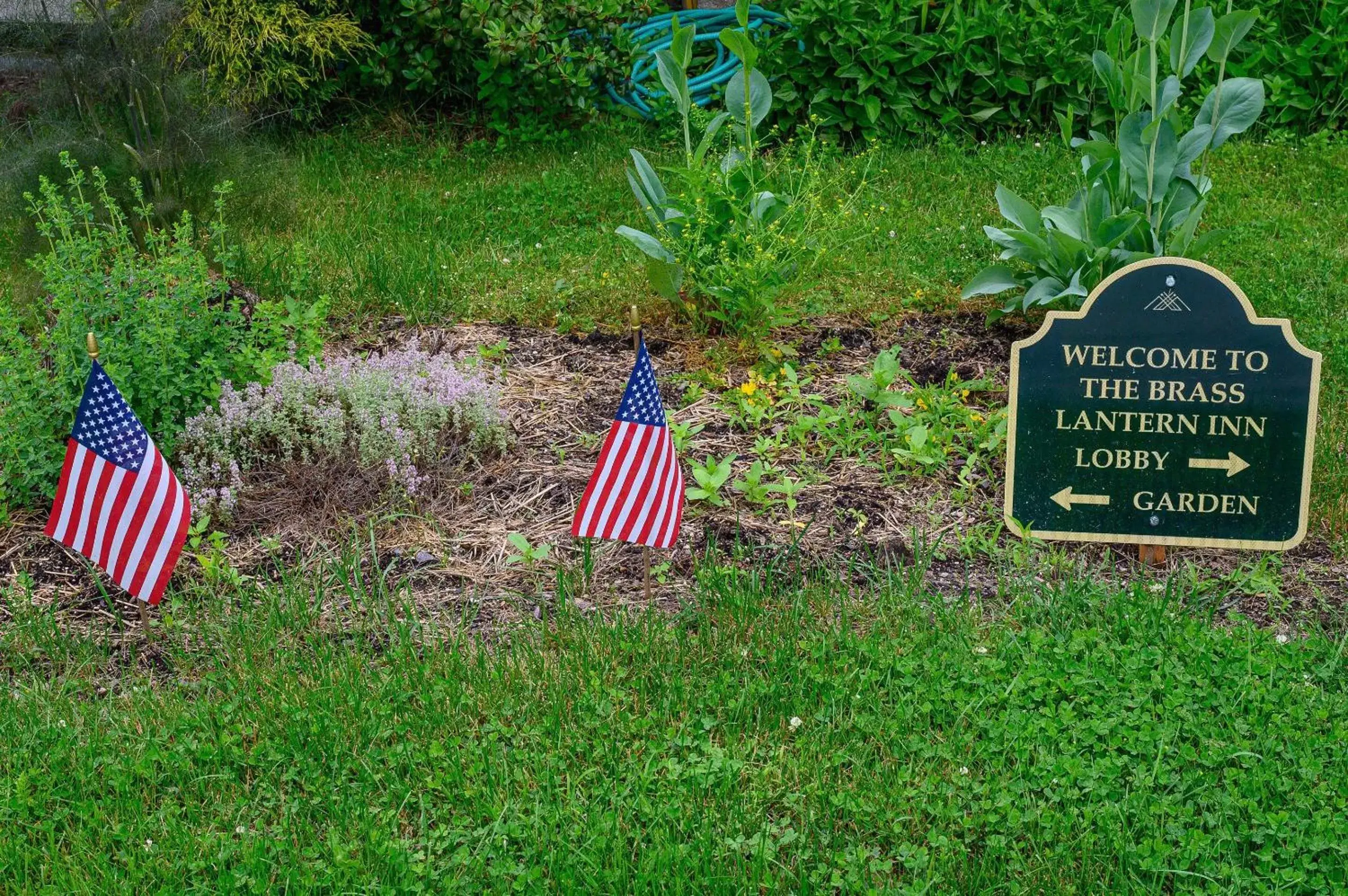 Garden in Brass Lantern Inn