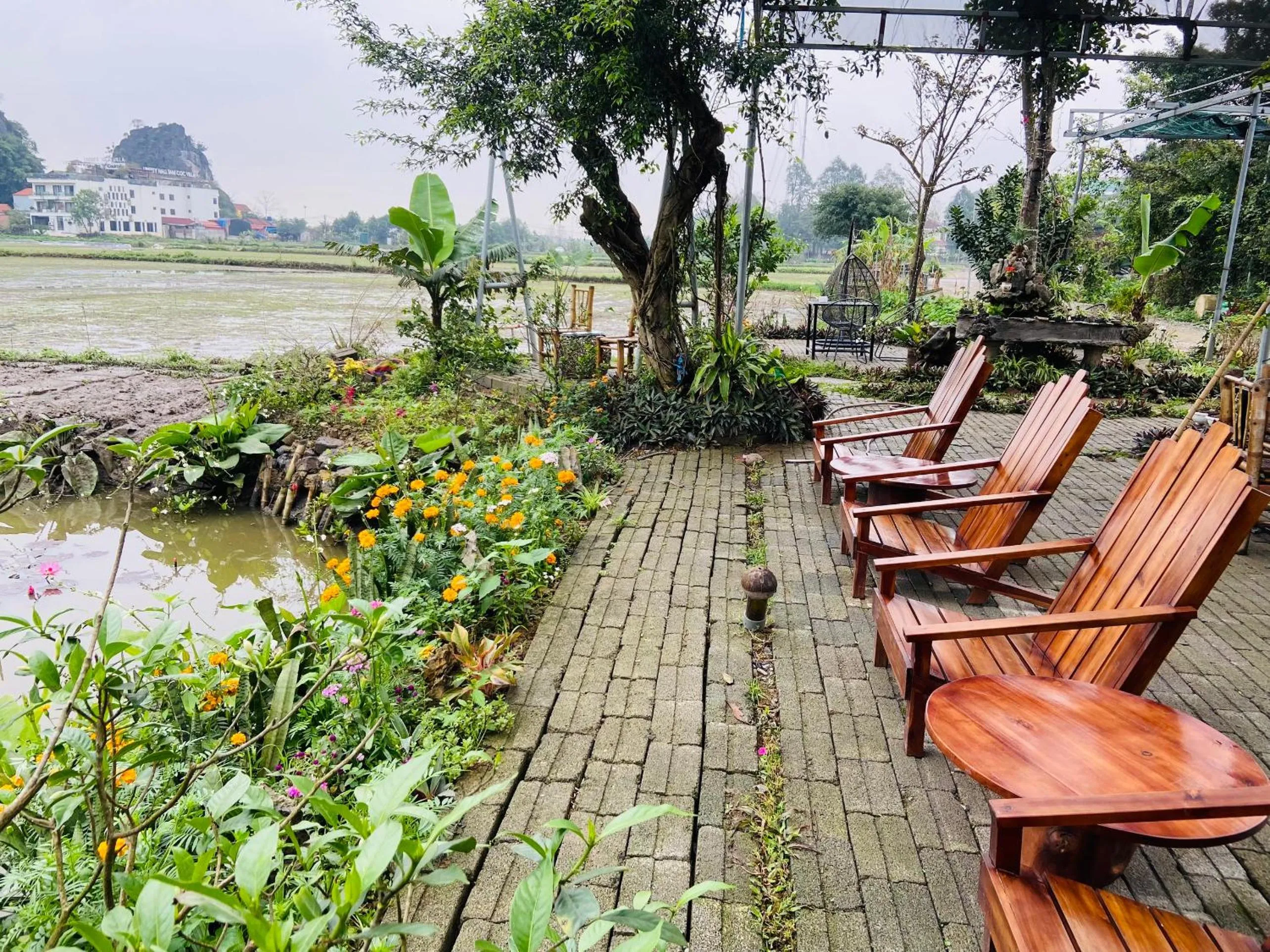 Tam Coc Mountain View Homestay